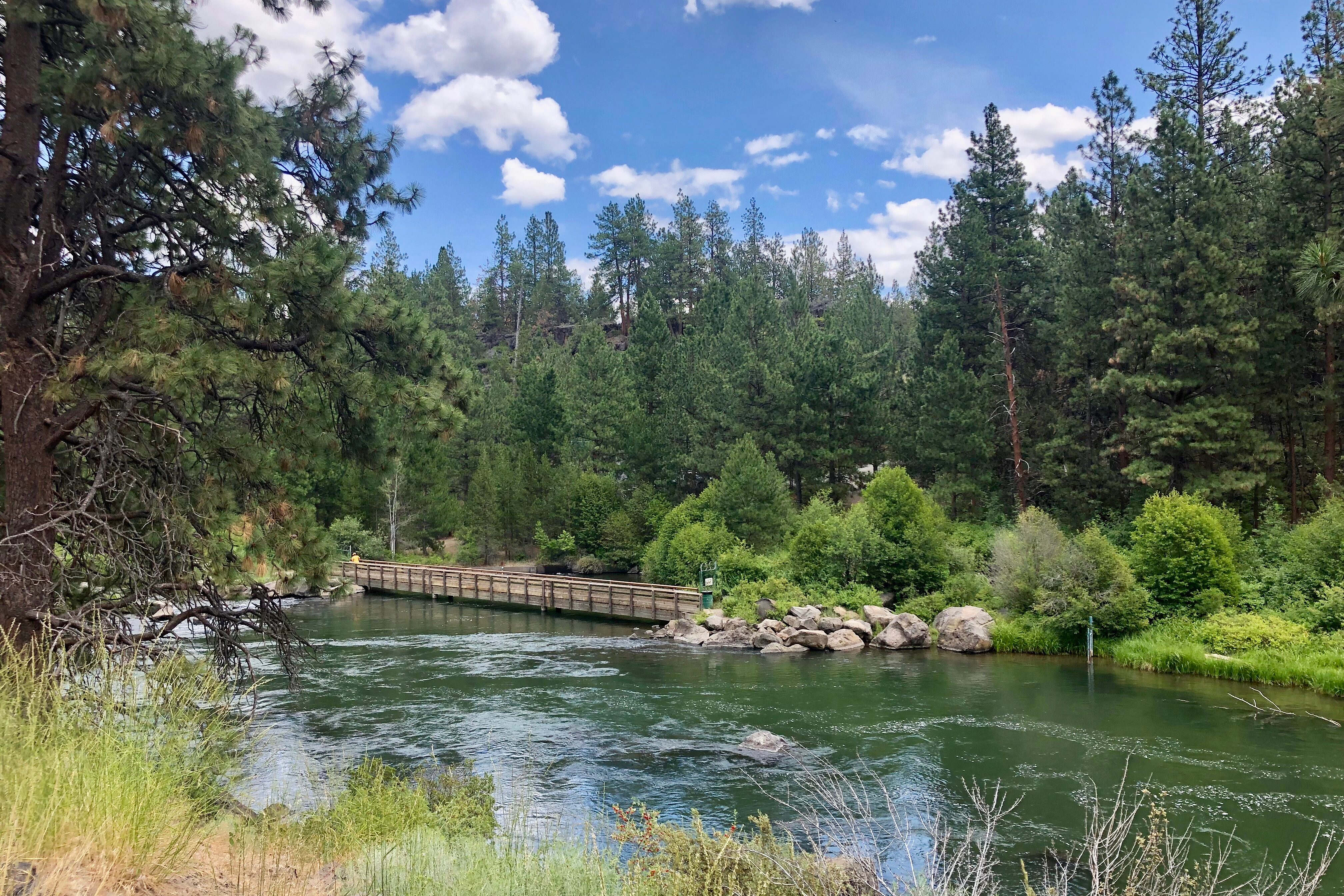 Photo of South Canyon Reach bridge