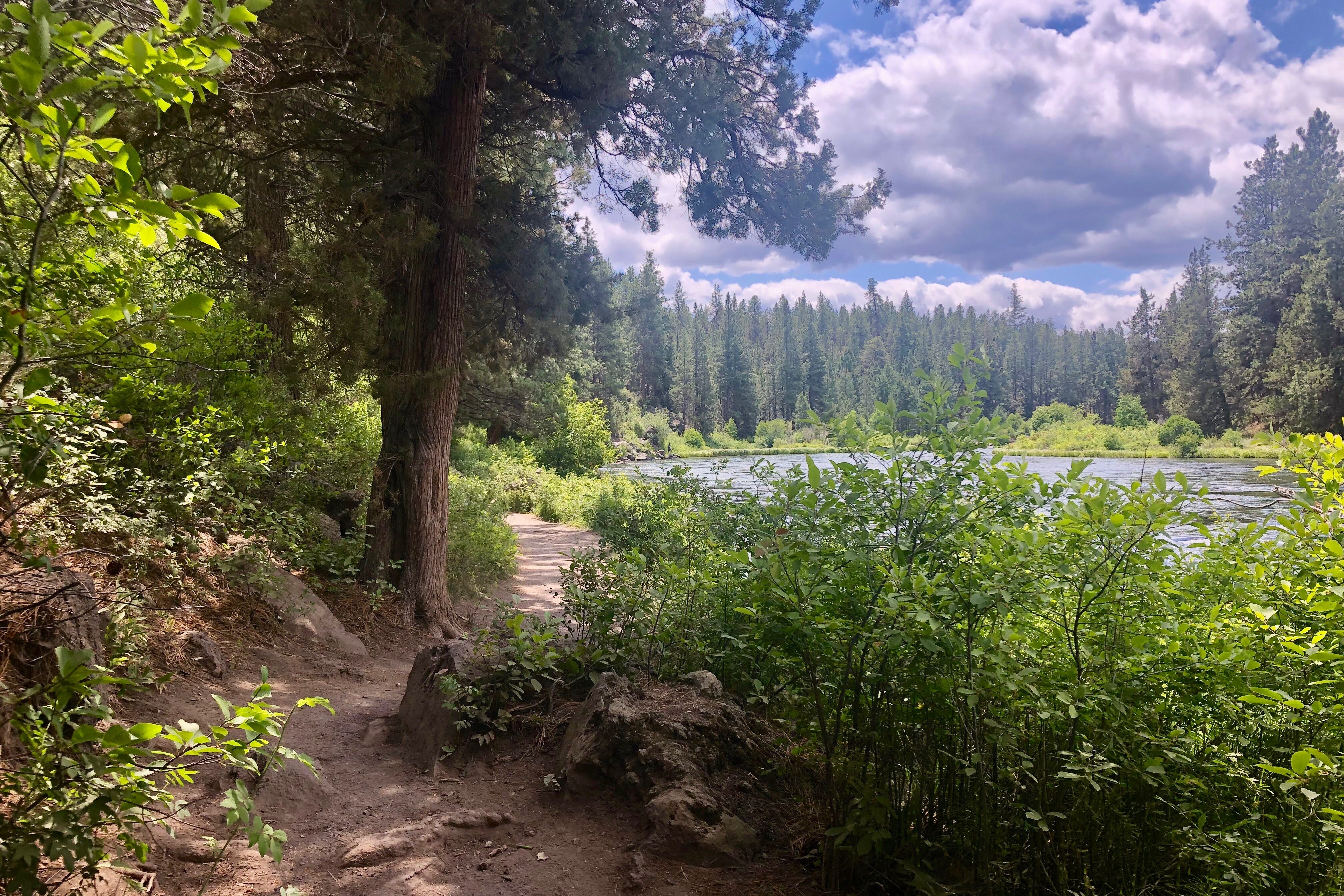 Photo of the Deschuttes River Trail
