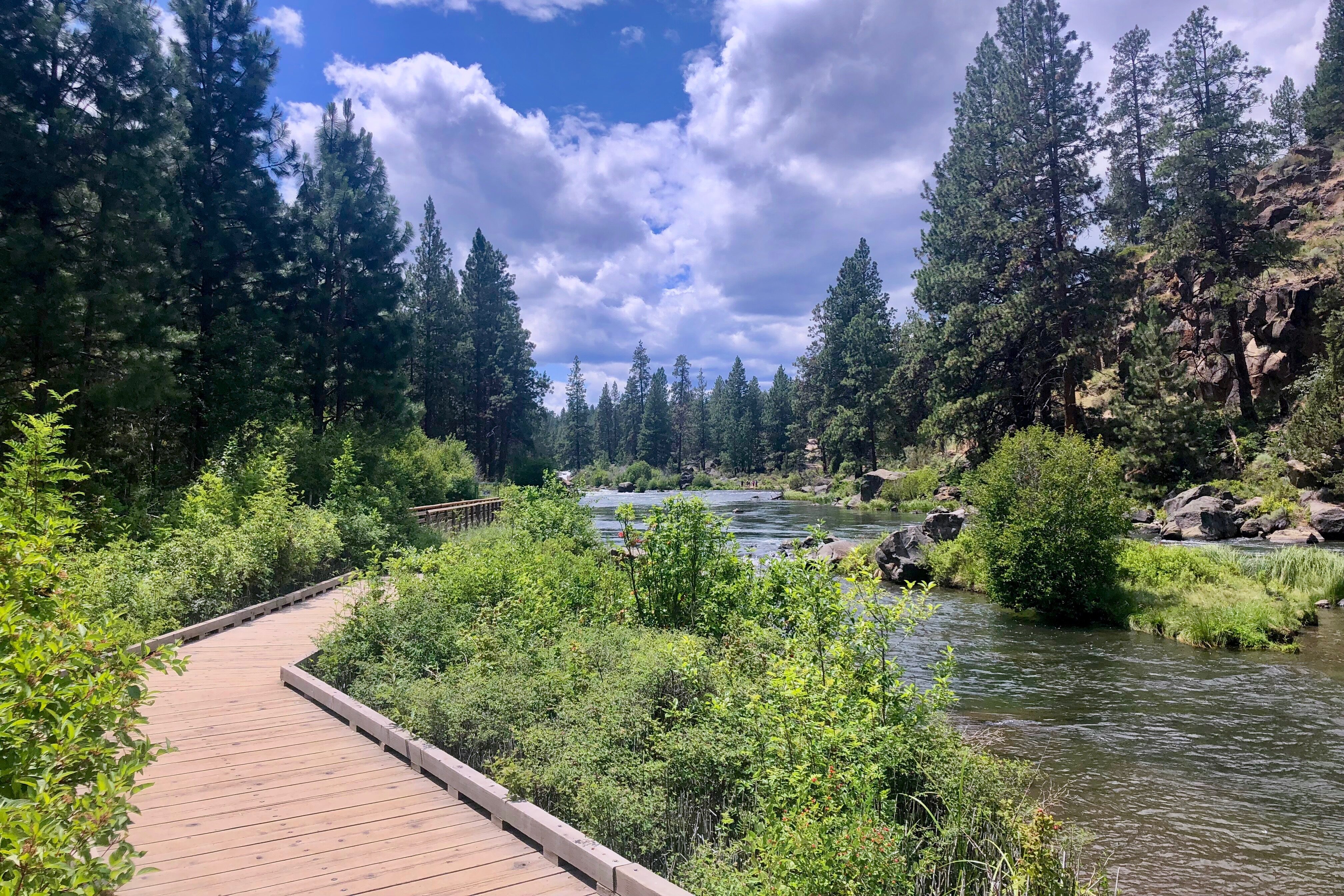 Photo of the Deschuttes River Trail with foot bridge