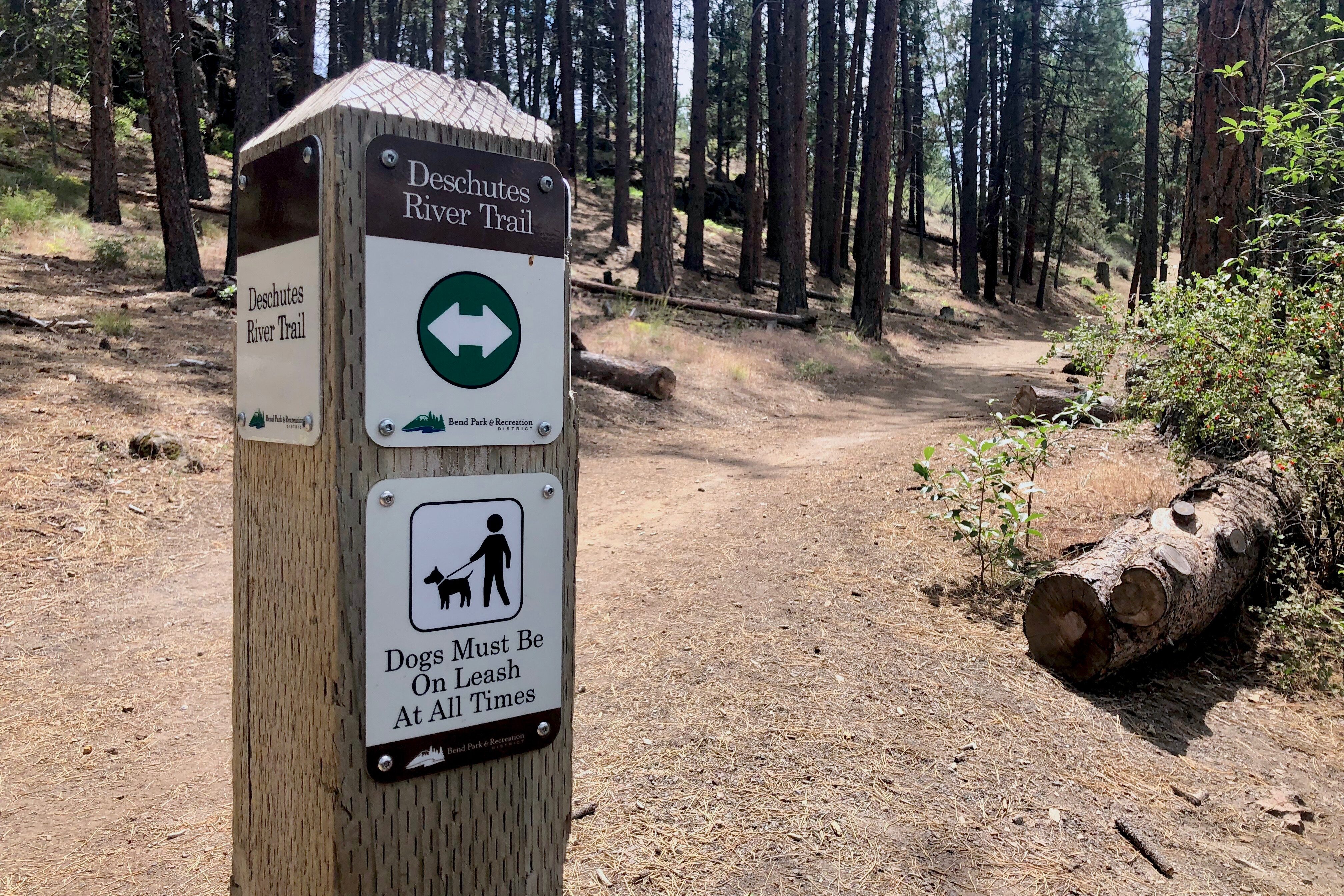 Photo of the Deschuttes River Trail marker