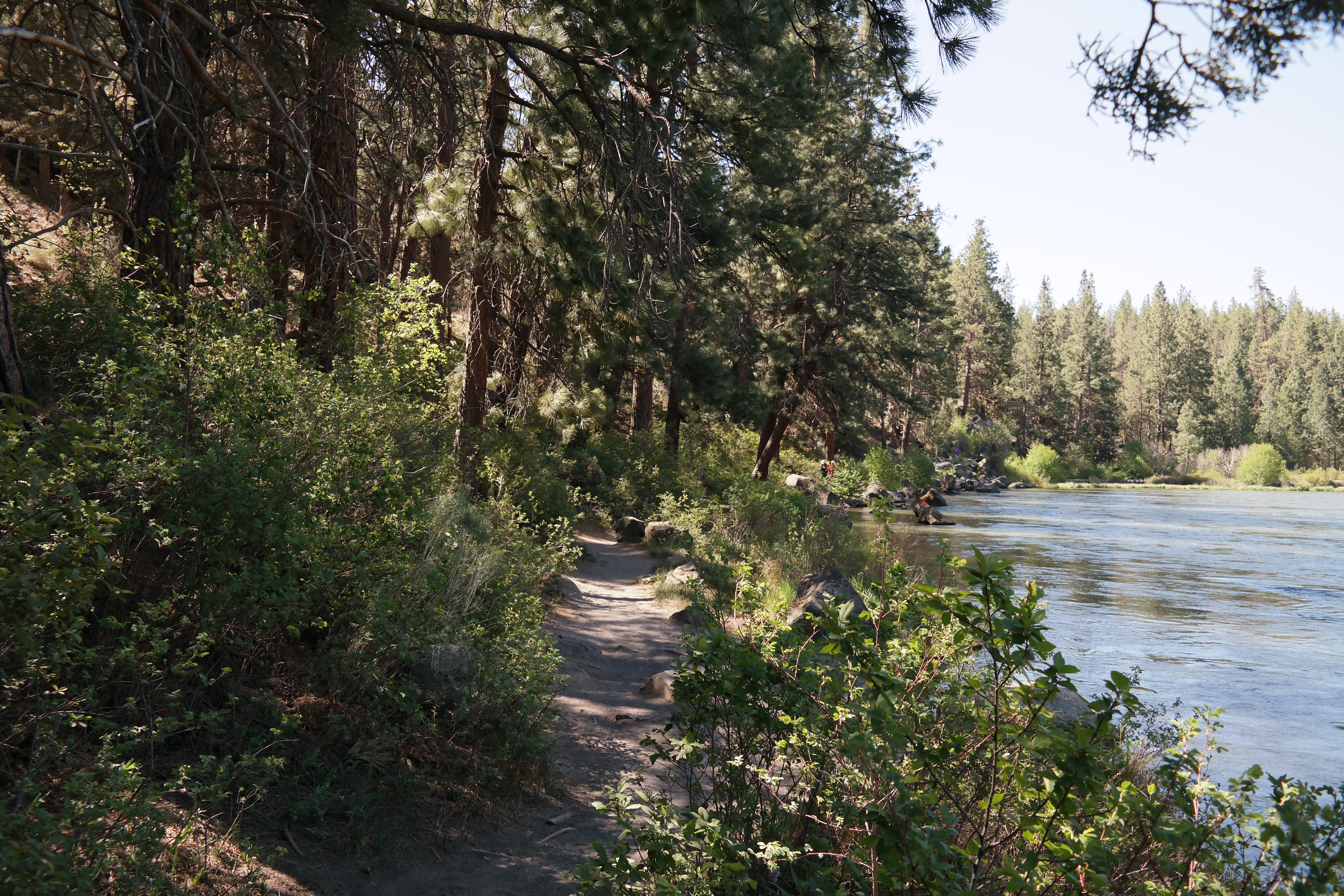 A section of the South Canyon Reach of the DRT viewing the river