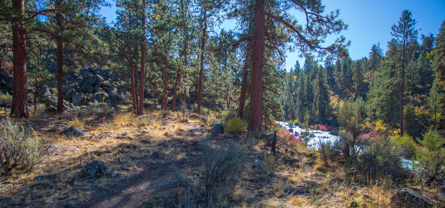 The Deschutes River Trail in Riley Ranch.