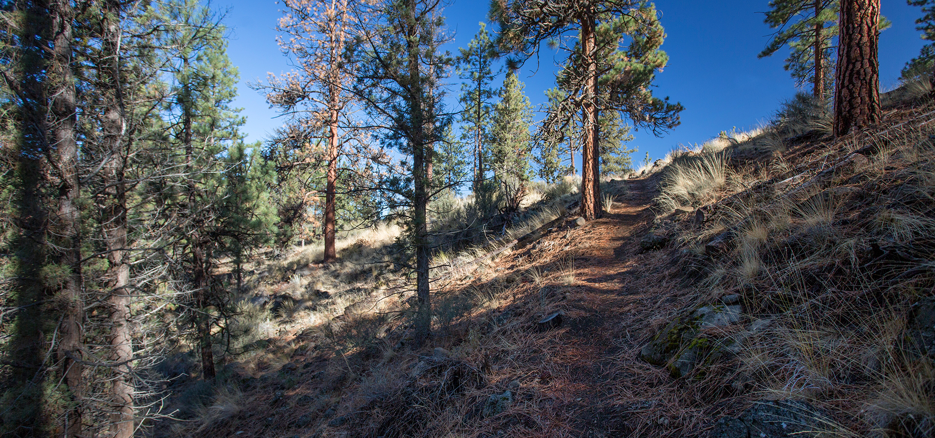 The Deschutes River Trail at Riley Ranch Nature Preserve.
