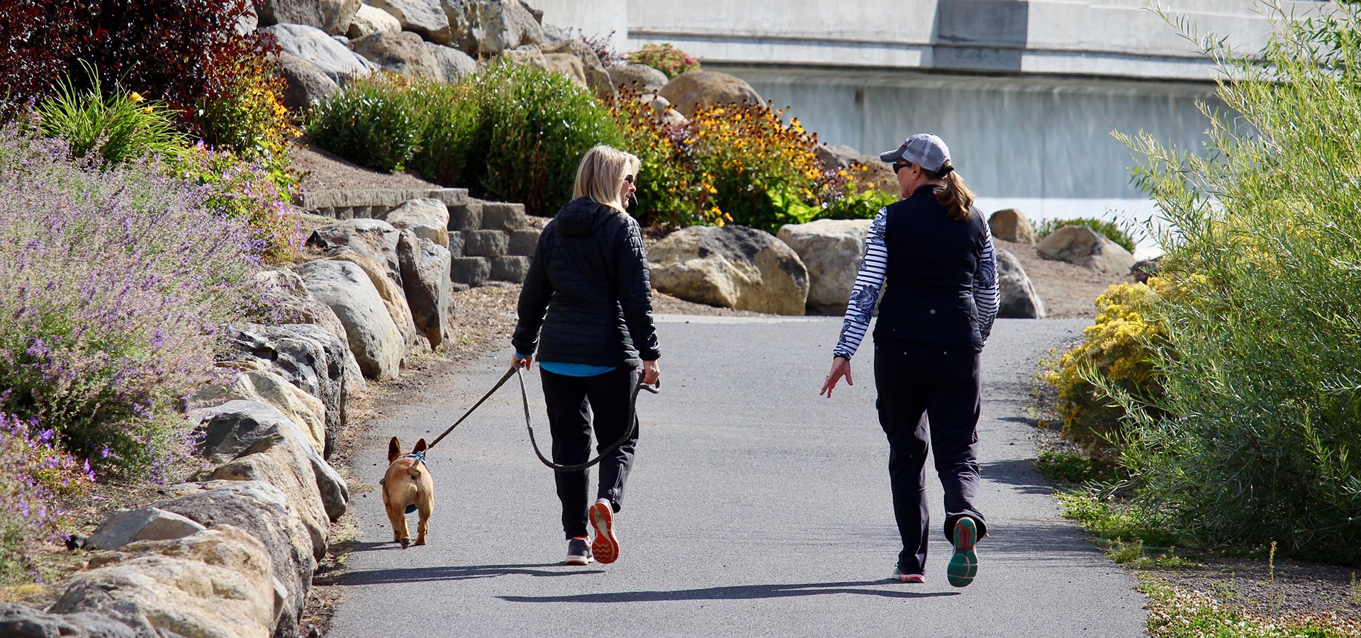 Two people and a dog walking on the Deschutes River Trail near the Old Mill in Bend.