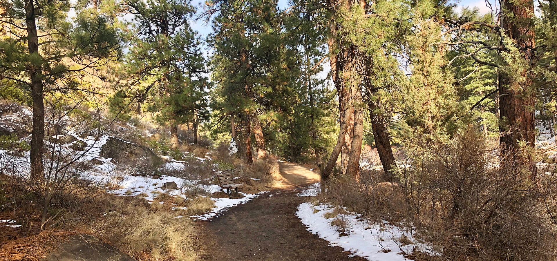 The Deschutes River Trail in the snow,.