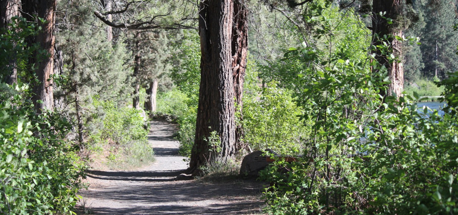 The Deschutes River Trail in Bend.