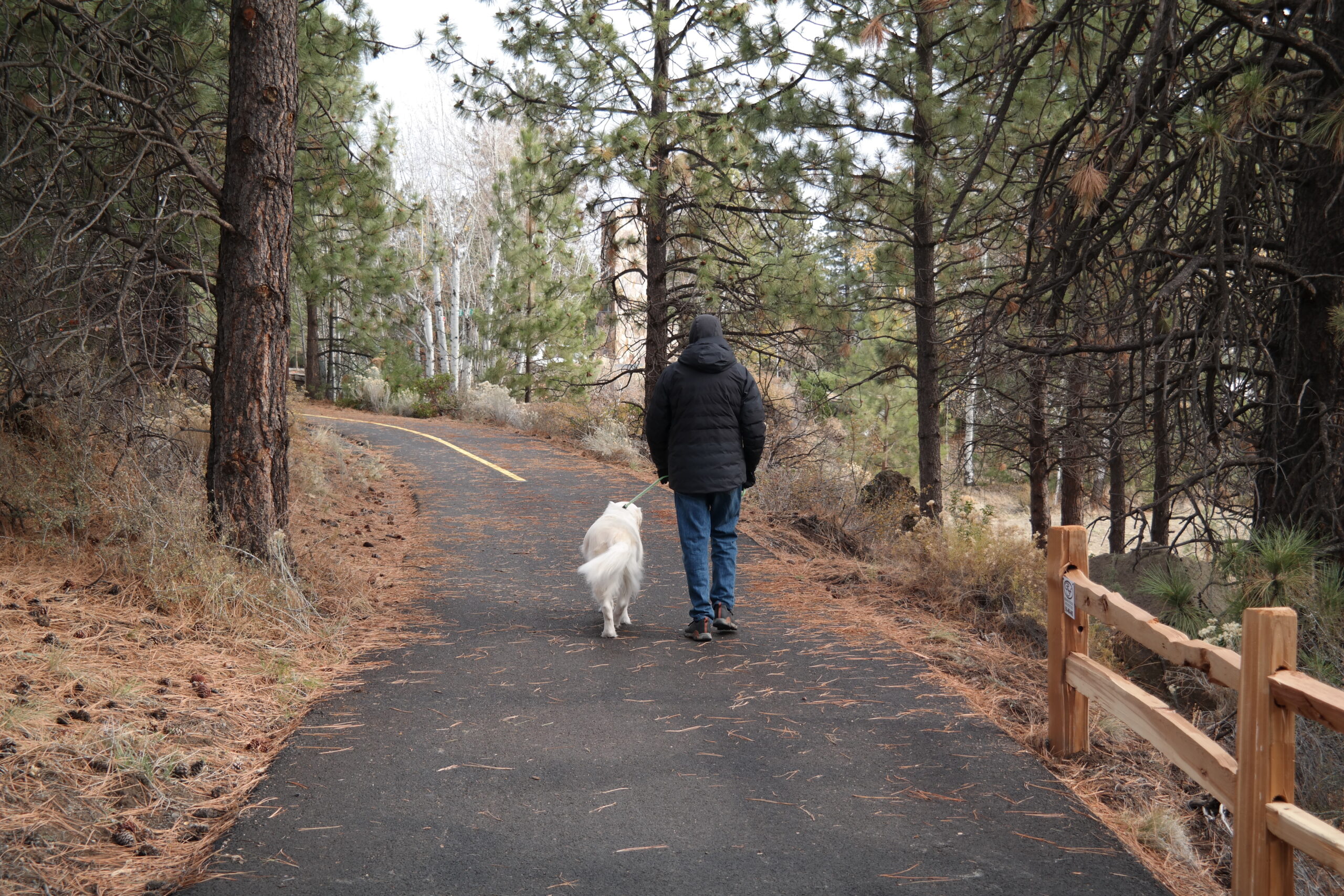 a man and his dog on the haul road trail