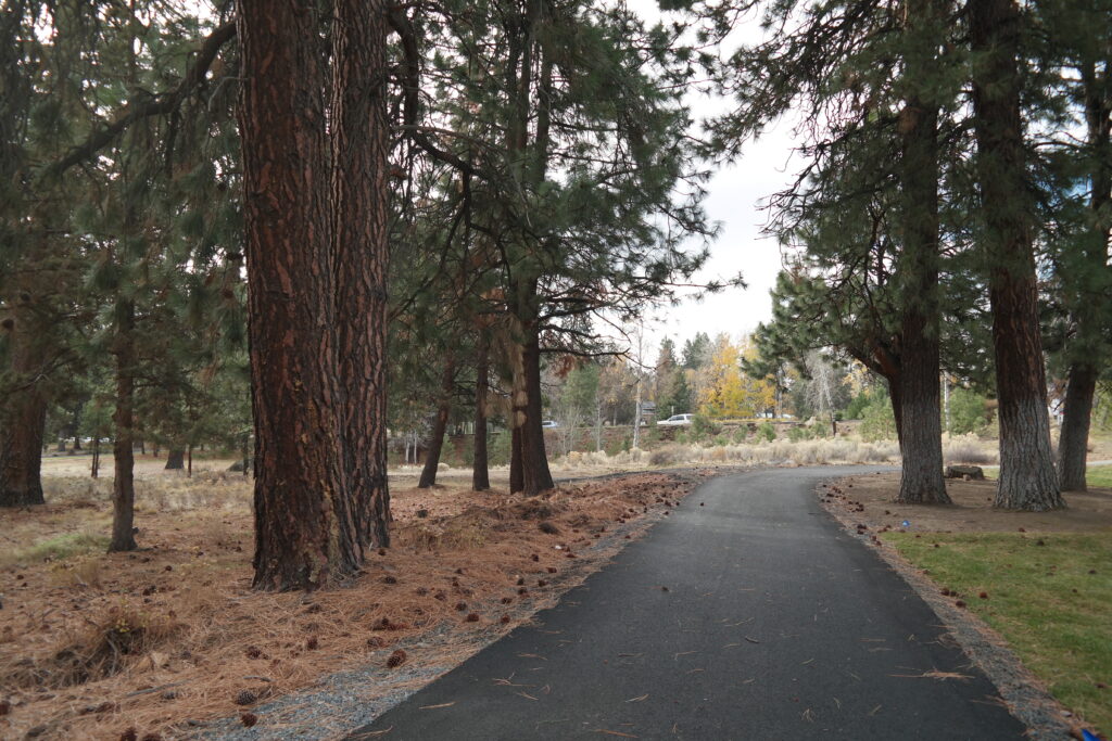 the haul road trail