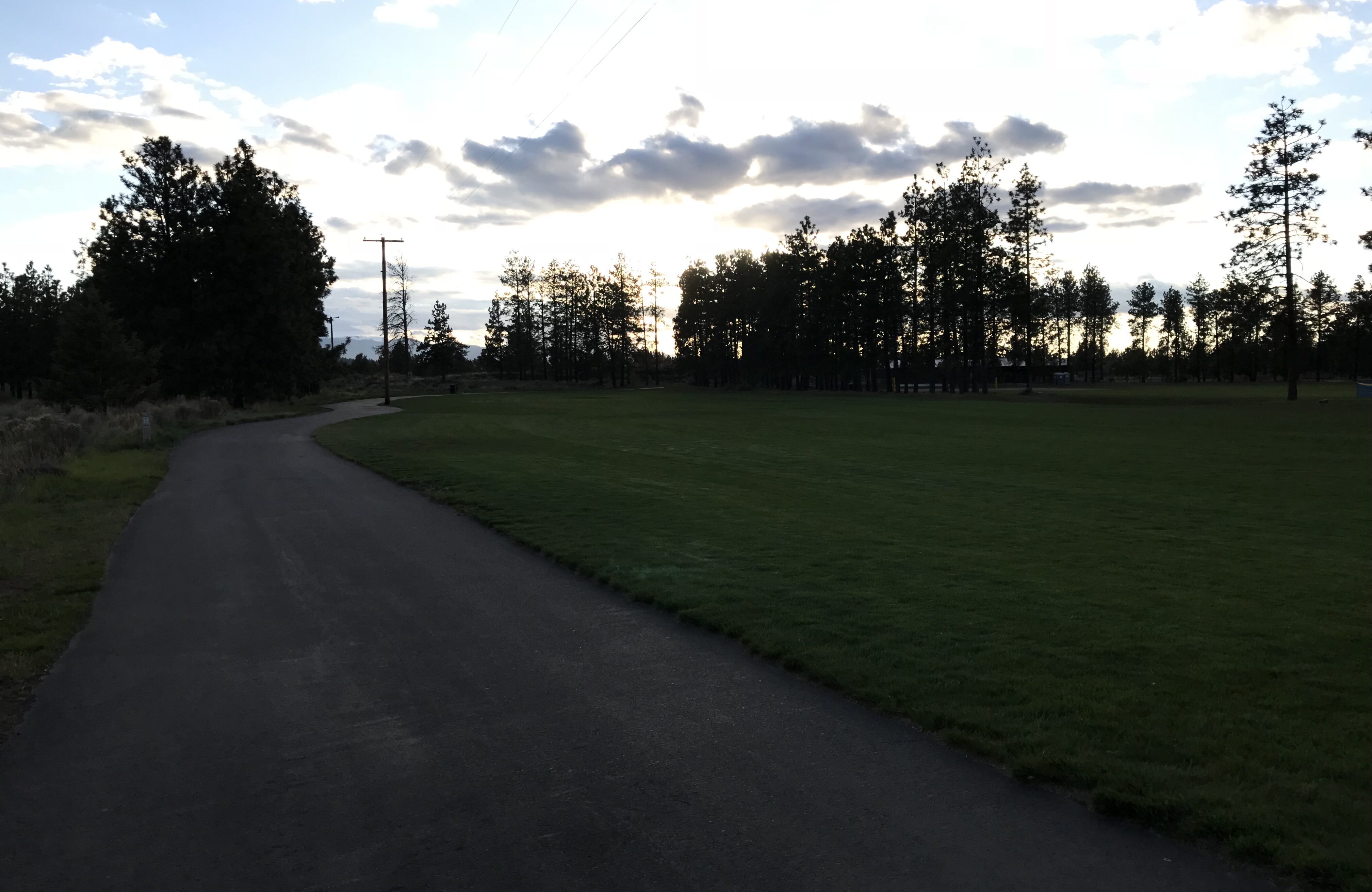 Low light photograph of the pathway and grass at Pine Nursery Park