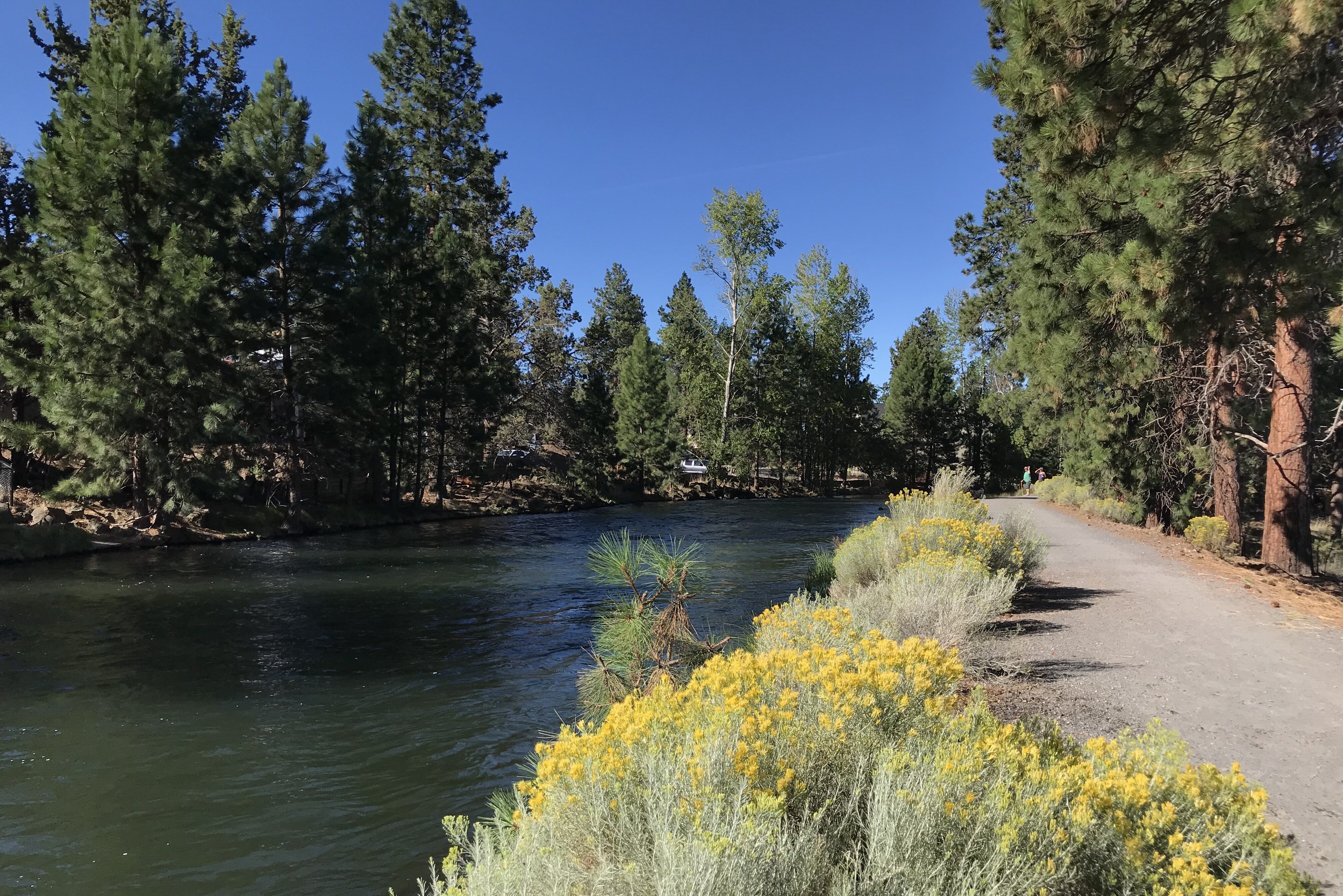 a path along a canal on the larkspur trail