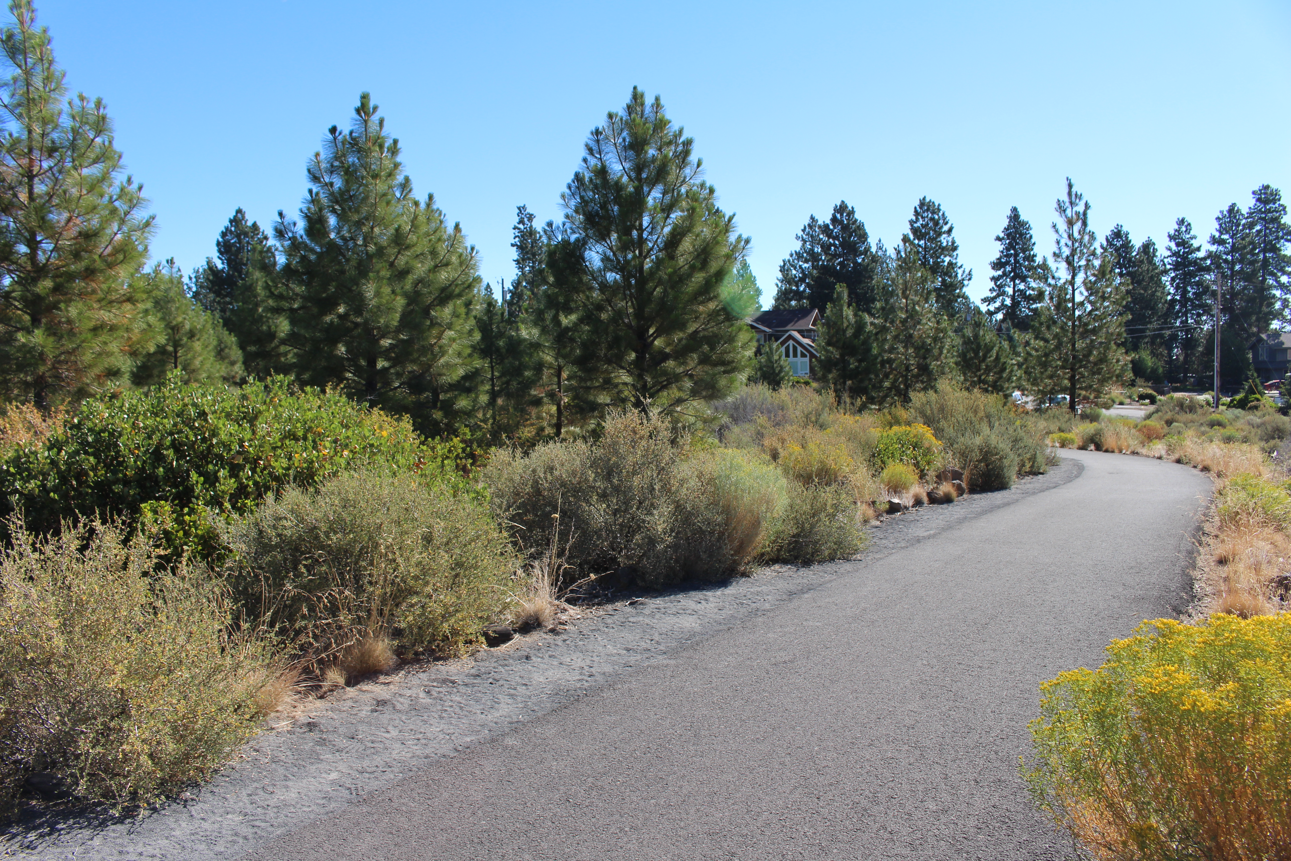 alpine trail Pathway by house