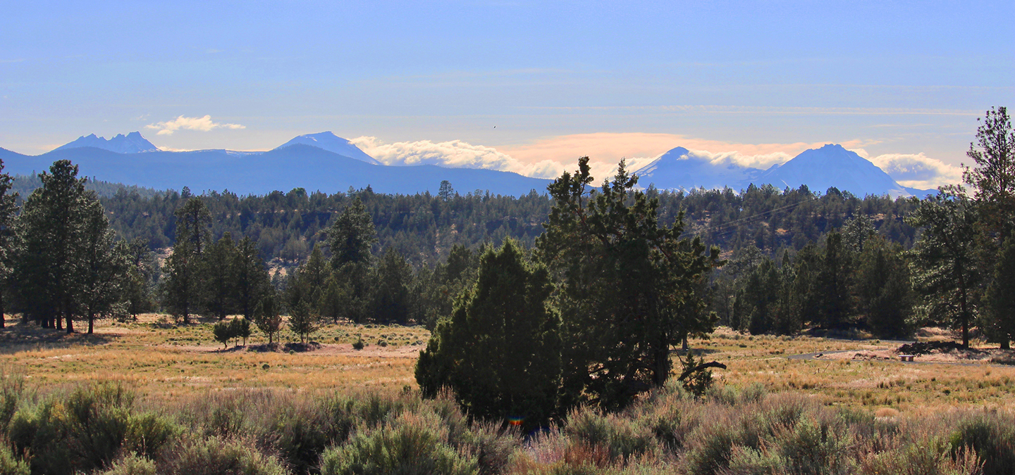a view of the Cascades from Riley Ranch Nature Preserve