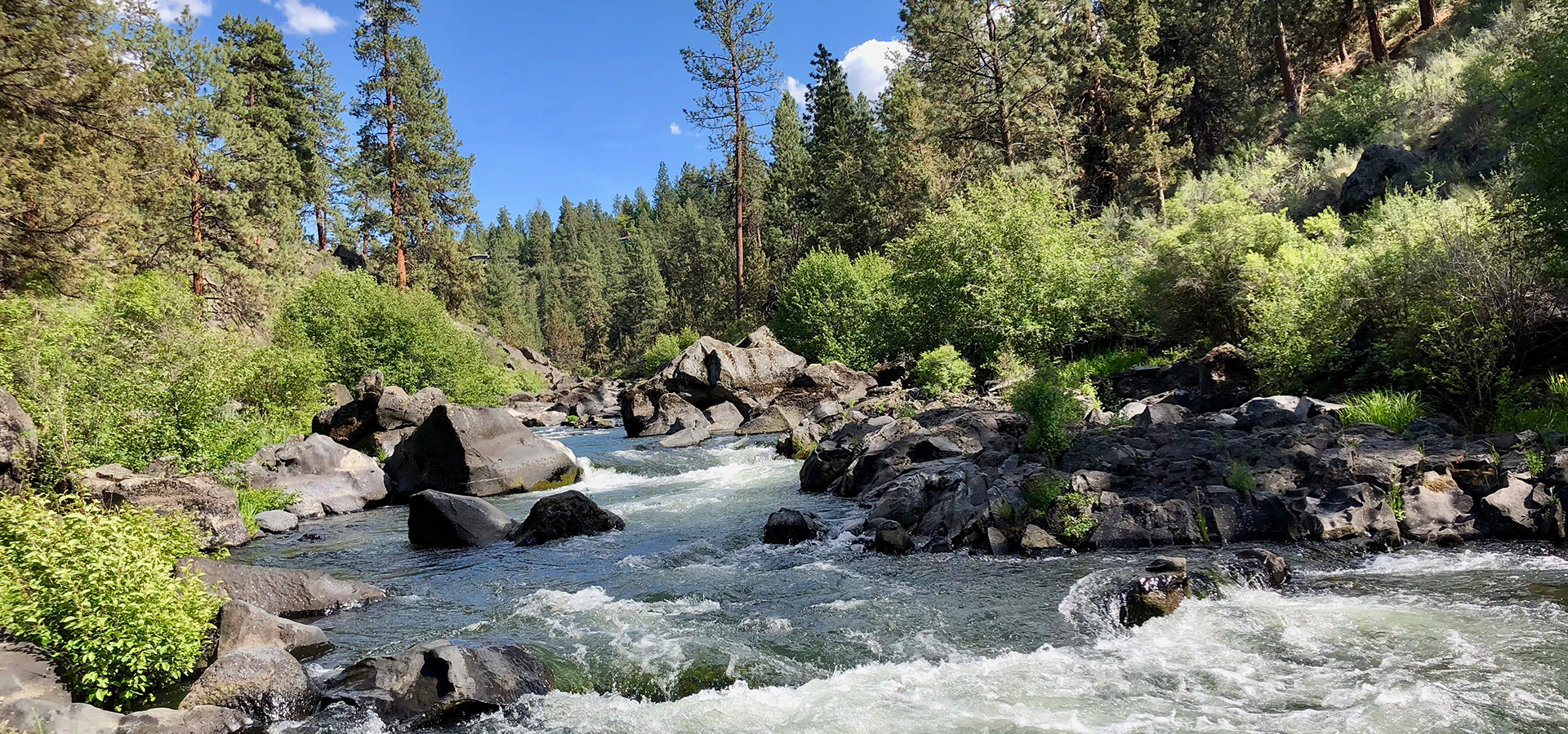 tumalo creek running through riley ranch nature preserve