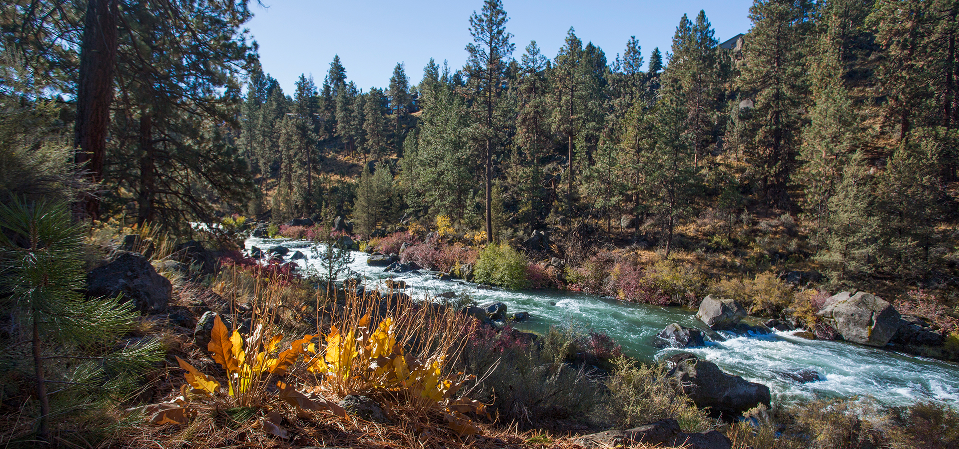 Riley-Ranch-and-the-Deschutes-River