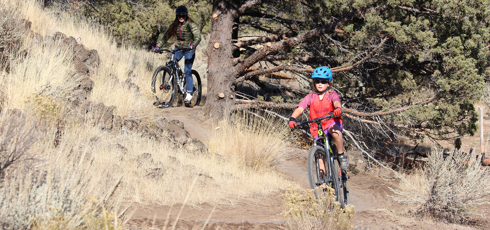 Rockridge Trail with biker