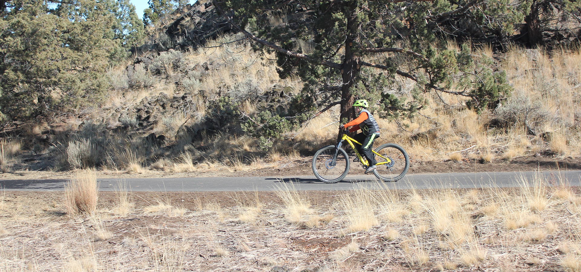 Rockridge Trail with biker