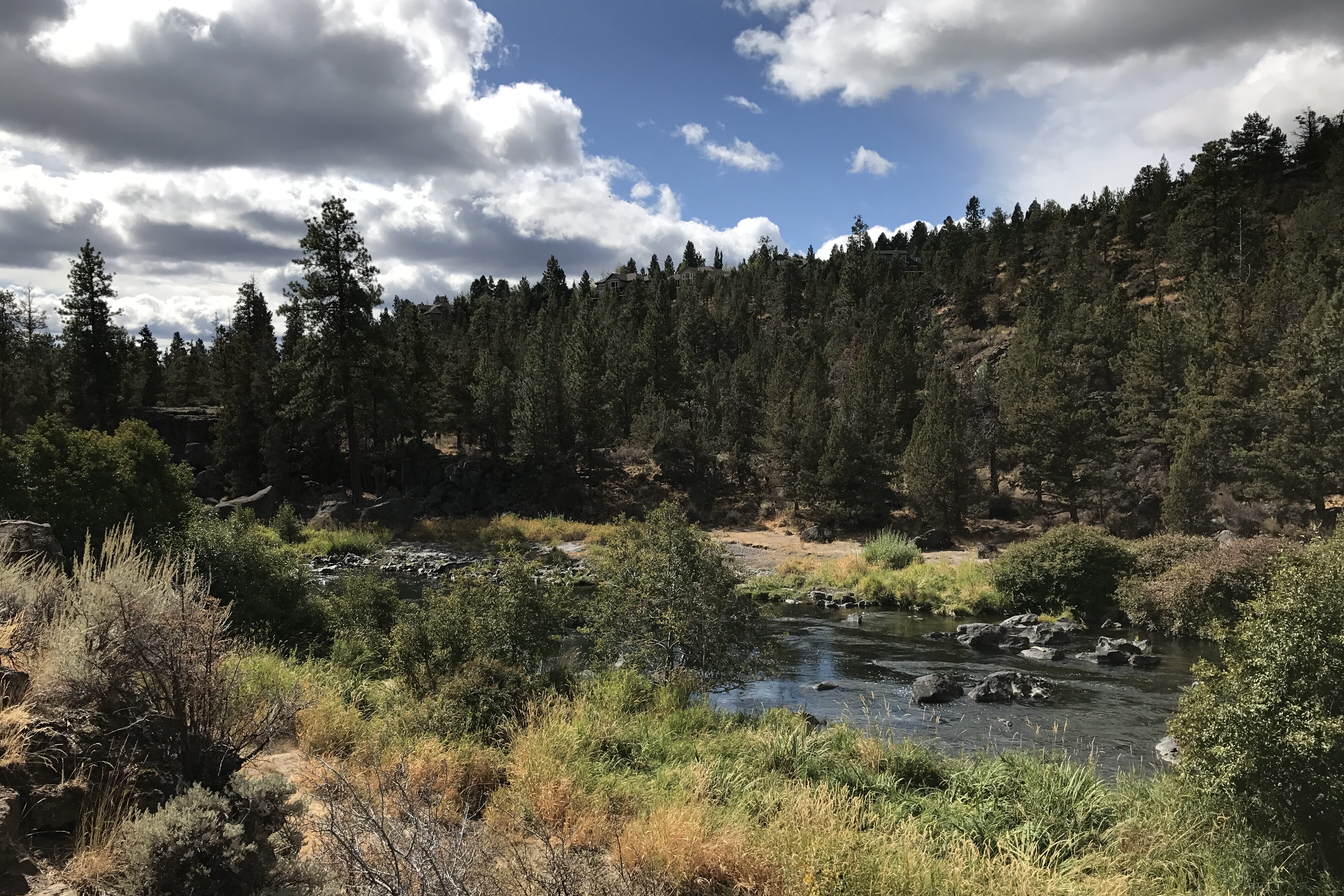 A view of the river with a soft surface trail on the other side