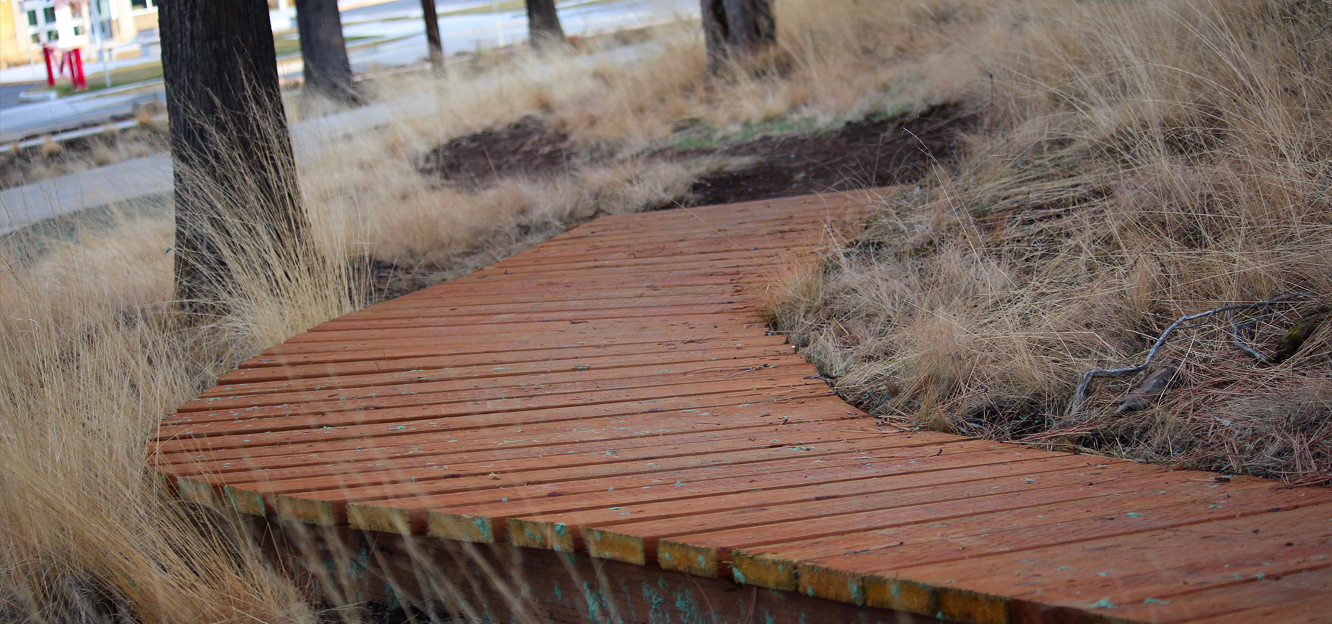 Stone-Creek-Park-Bike-Skills-Boardwalk-Feature