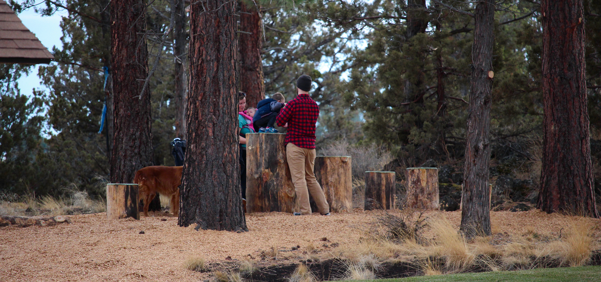 Stone-Creek-Park-Natural-Play-Area