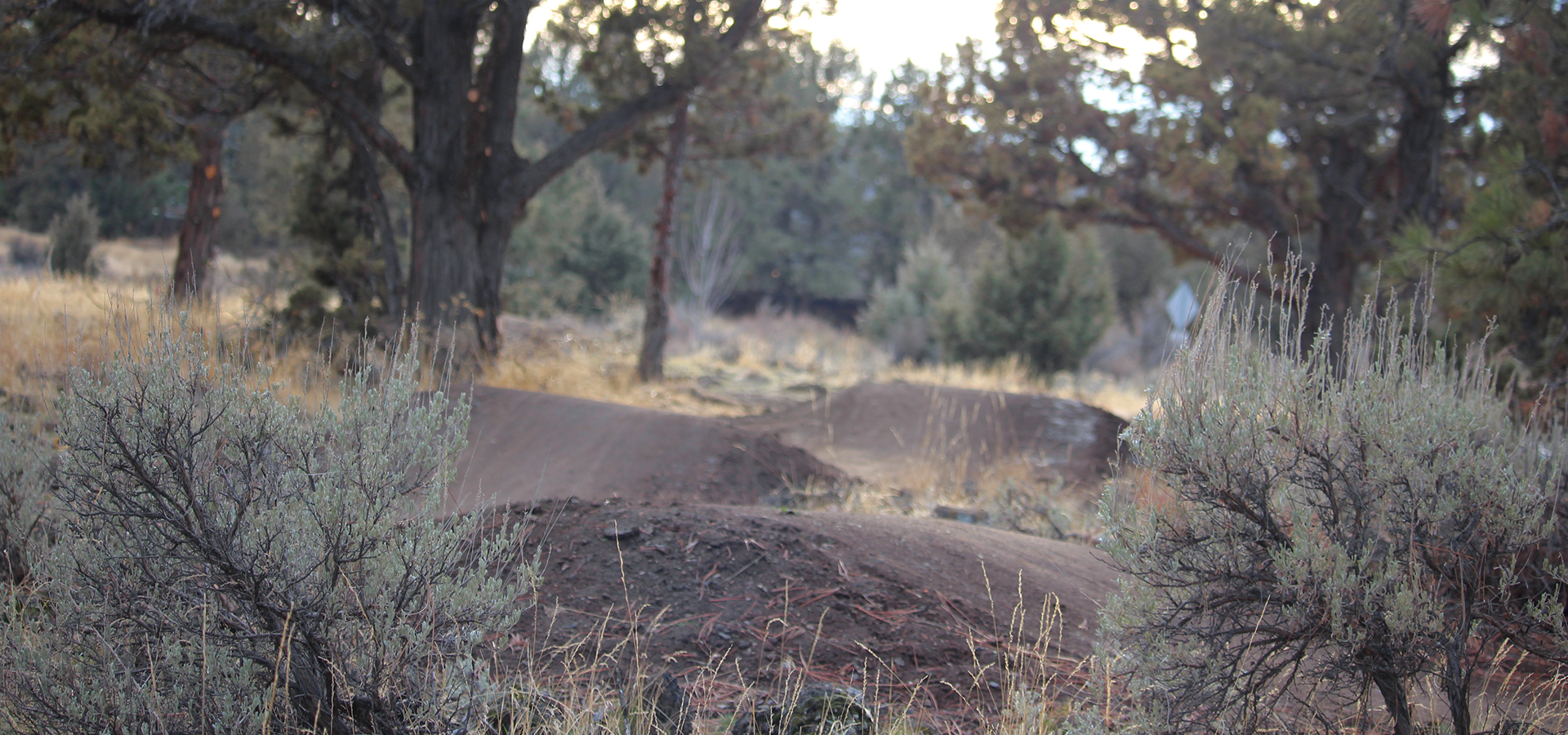 Stone-Creek-Park-Pump-Track