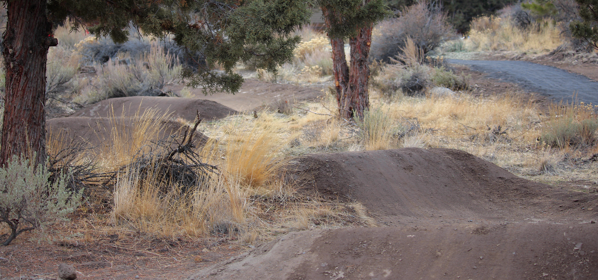 Stone-Creek-Park-Small-Pump-Track