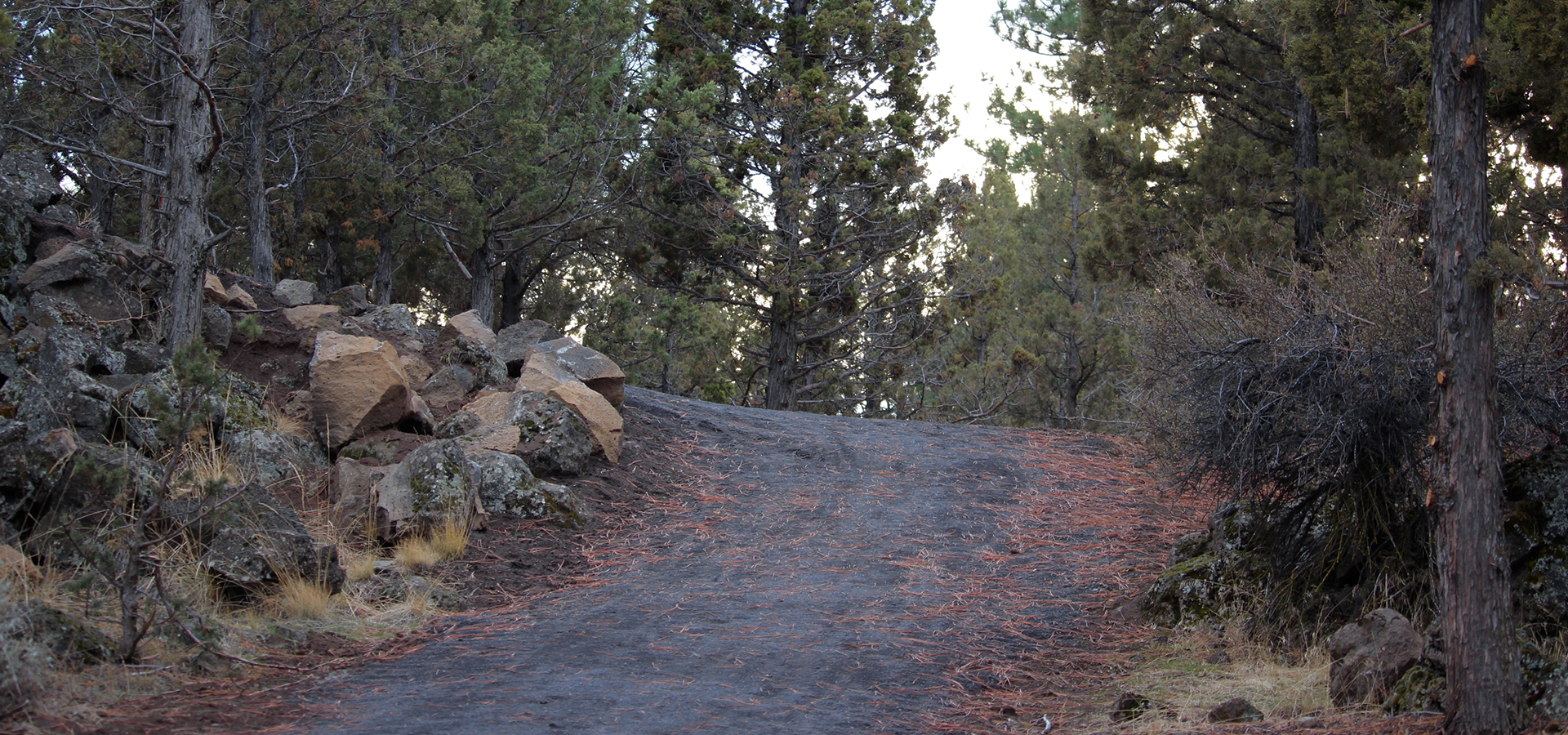 Stone-Creek-Park-Soft-Surface-Trail