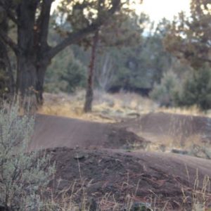 Image of the Stone Creek Park bicycle pump track in Bend, Oregon.