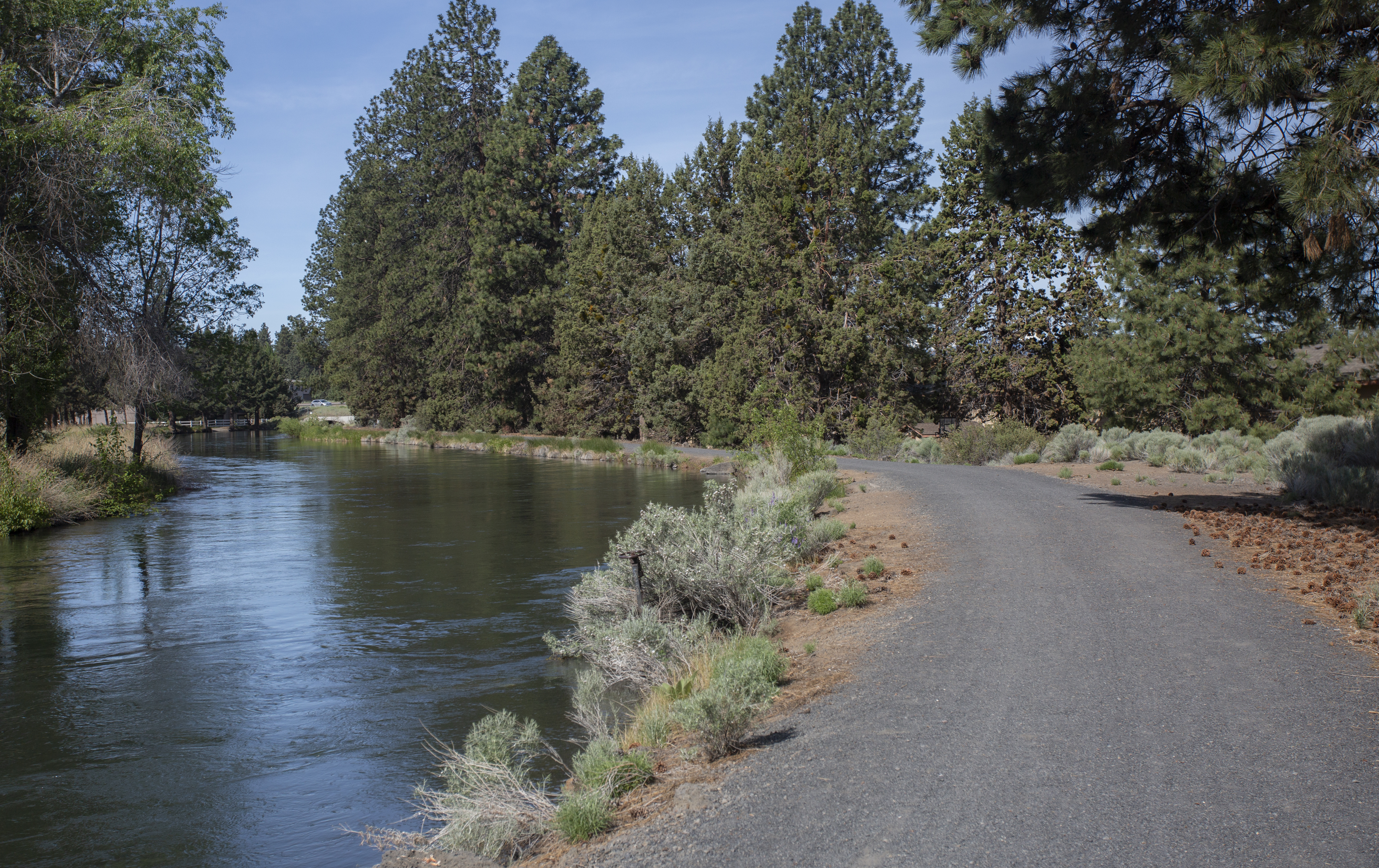 A portion of the COHCT trail running along the canal