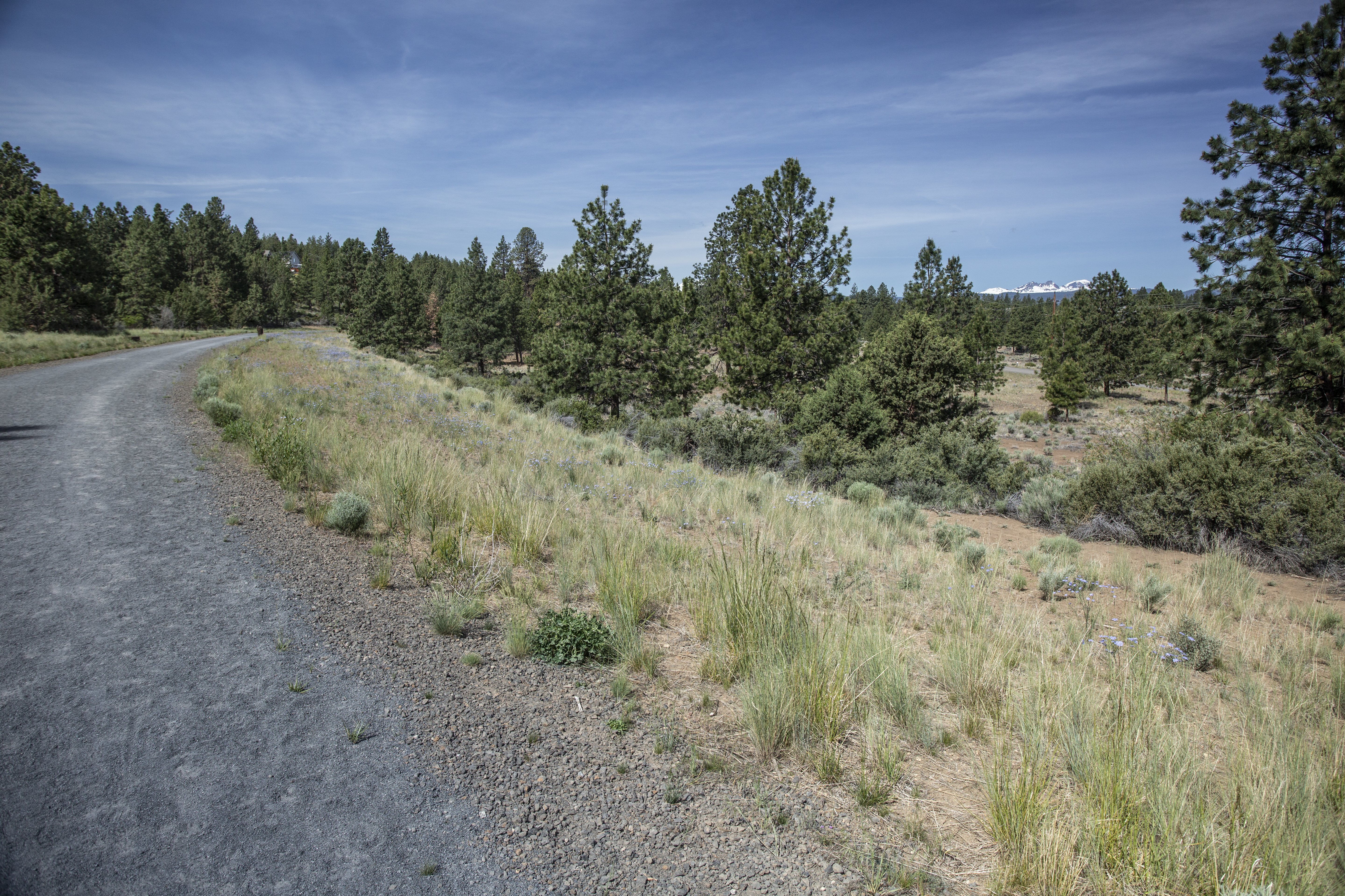 The COHCT trail with mountain views