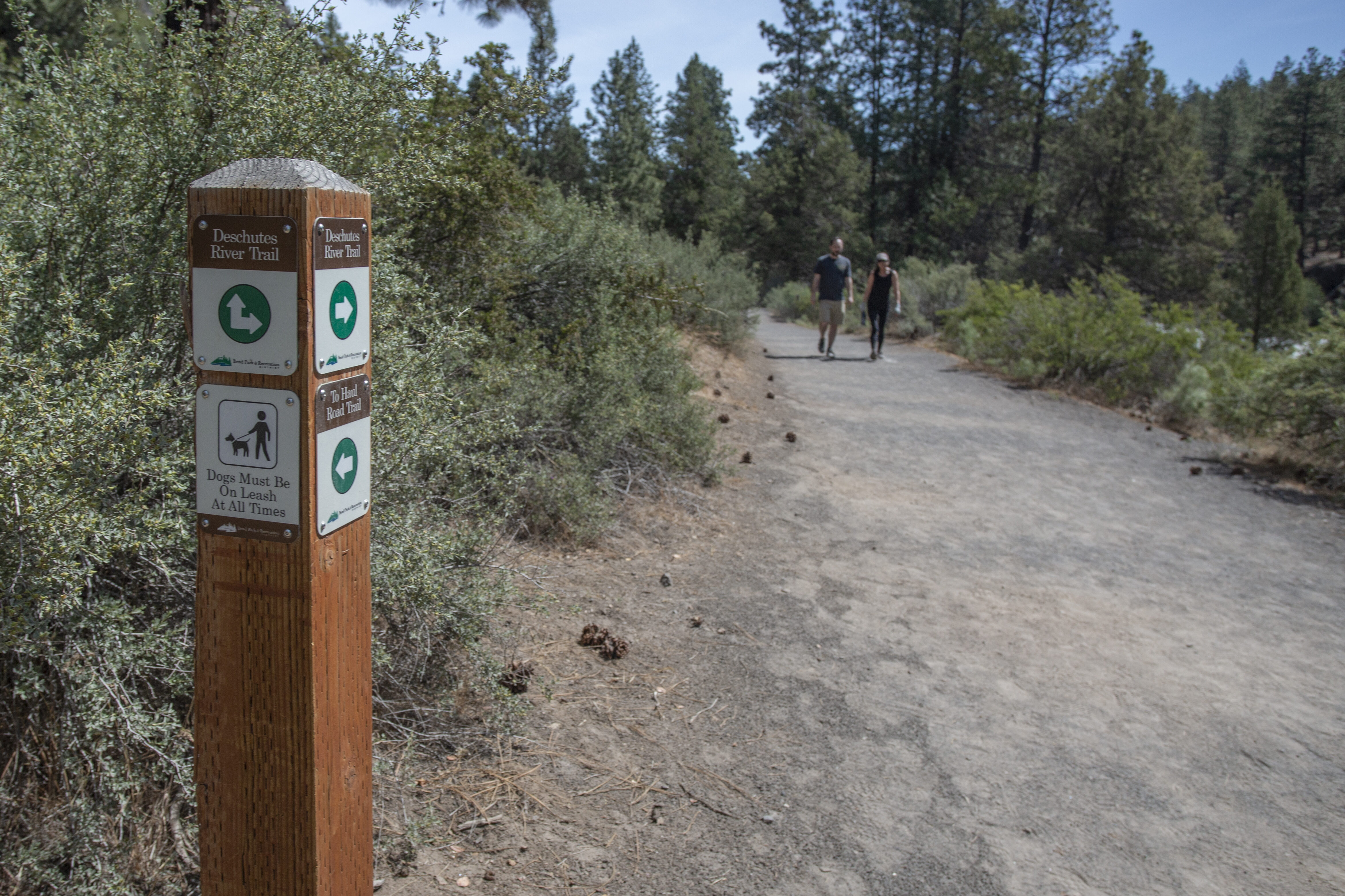 Photo of Deschutes River Trail marker