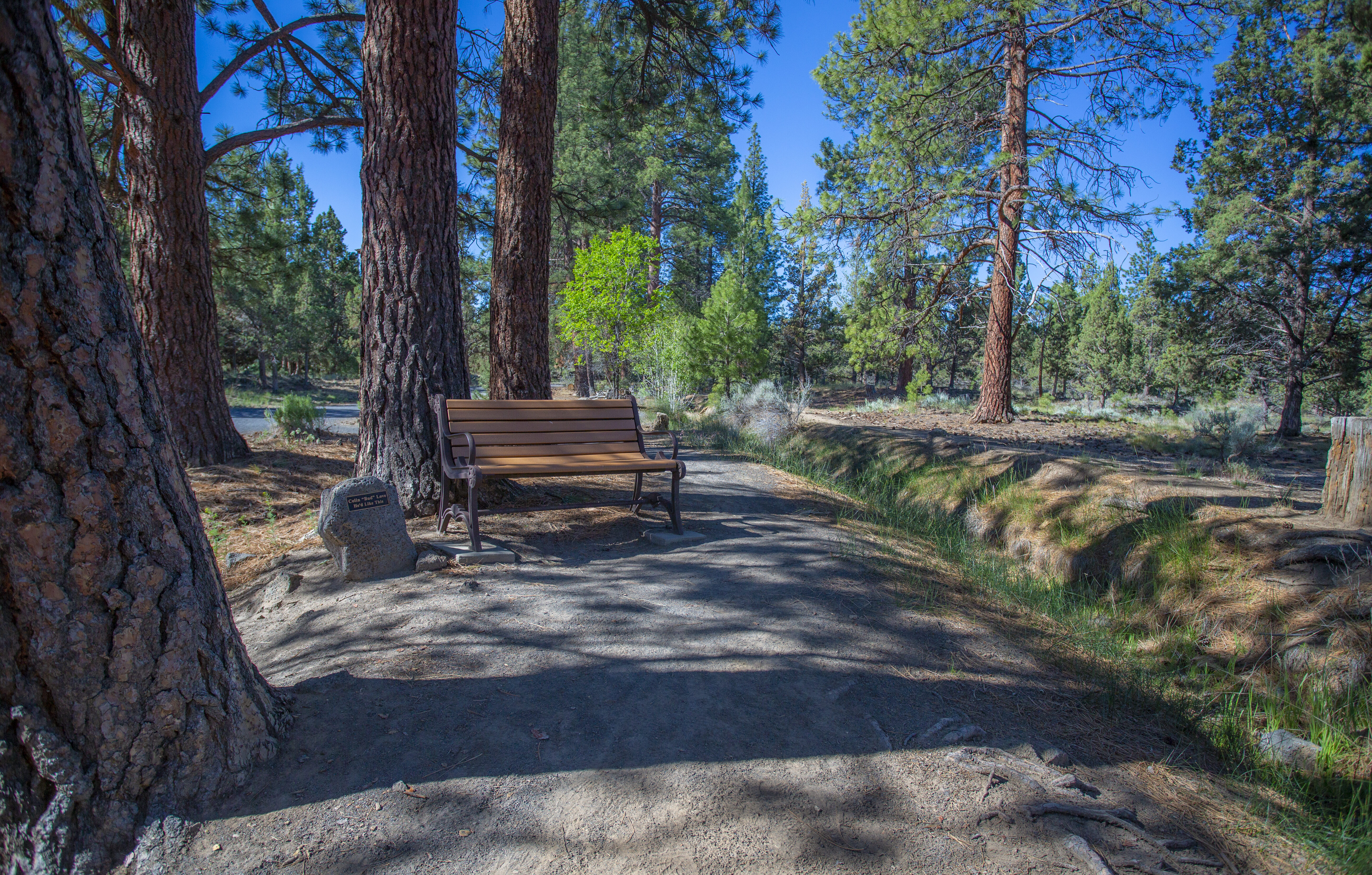 A bench for viewing or resting on the Larkspur Trail
