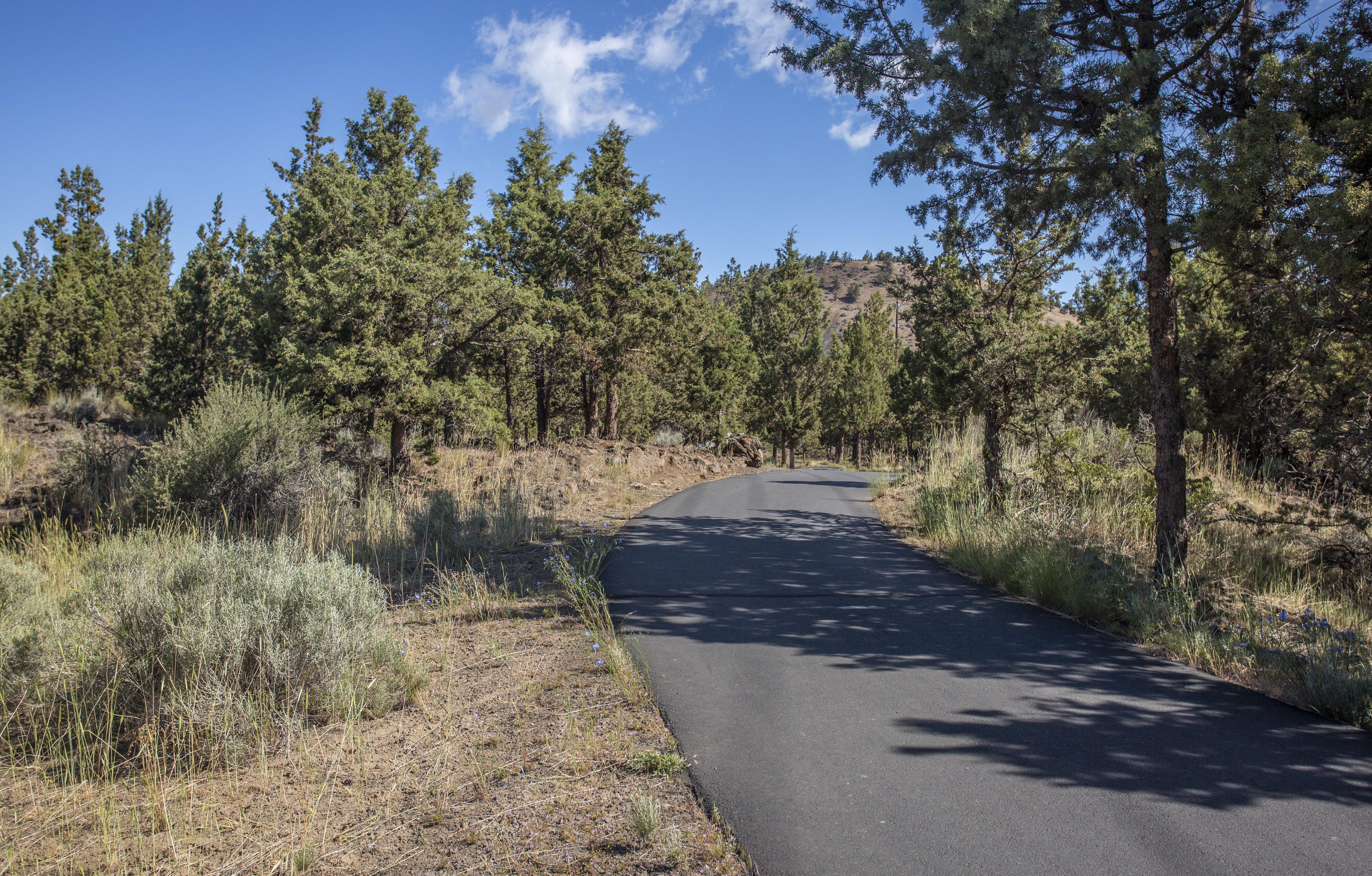 The Larkspur Trail in the natural area at Pilot Butte Park