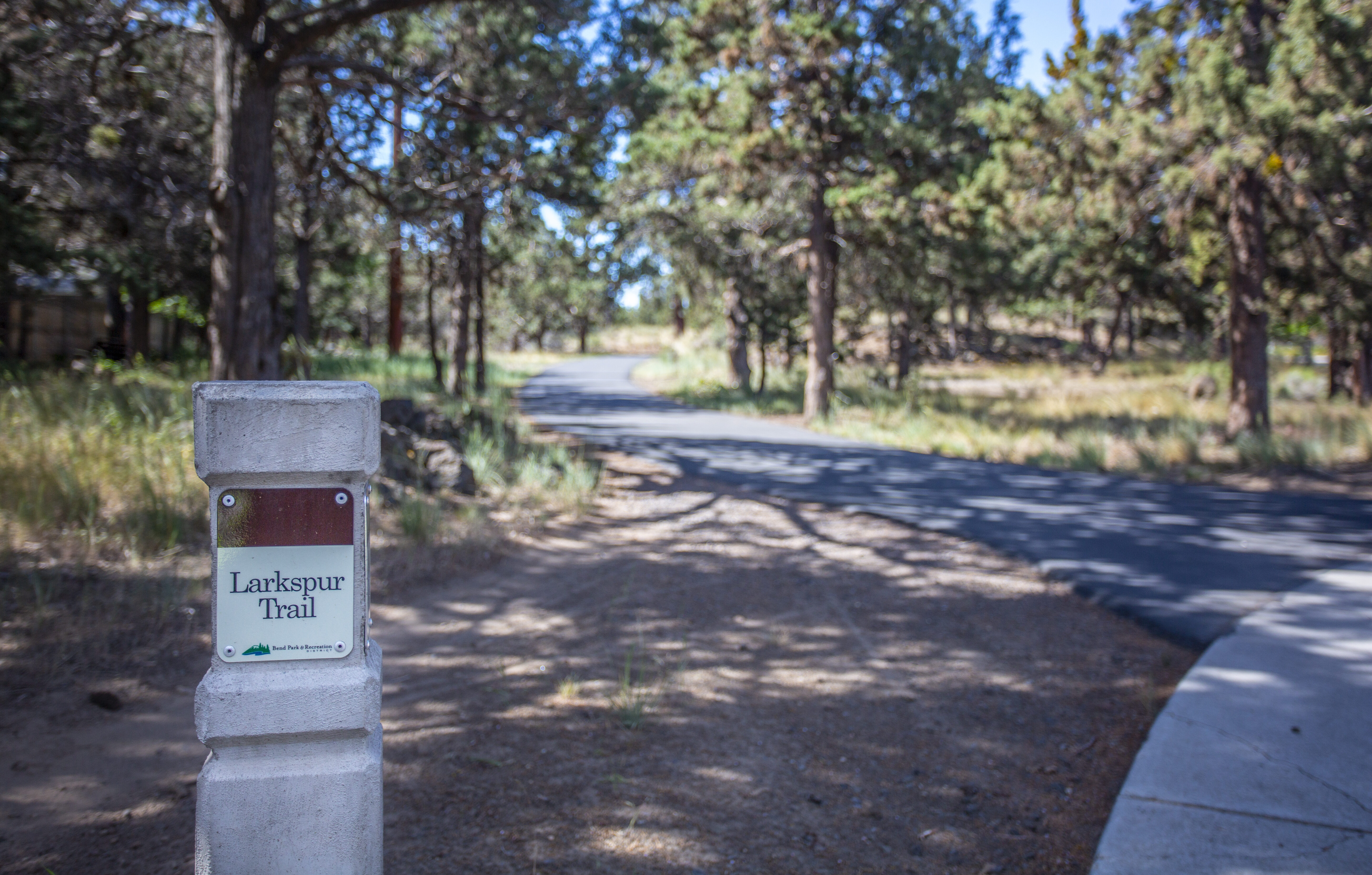 A wayfinding bollard on the Larkspur Trail