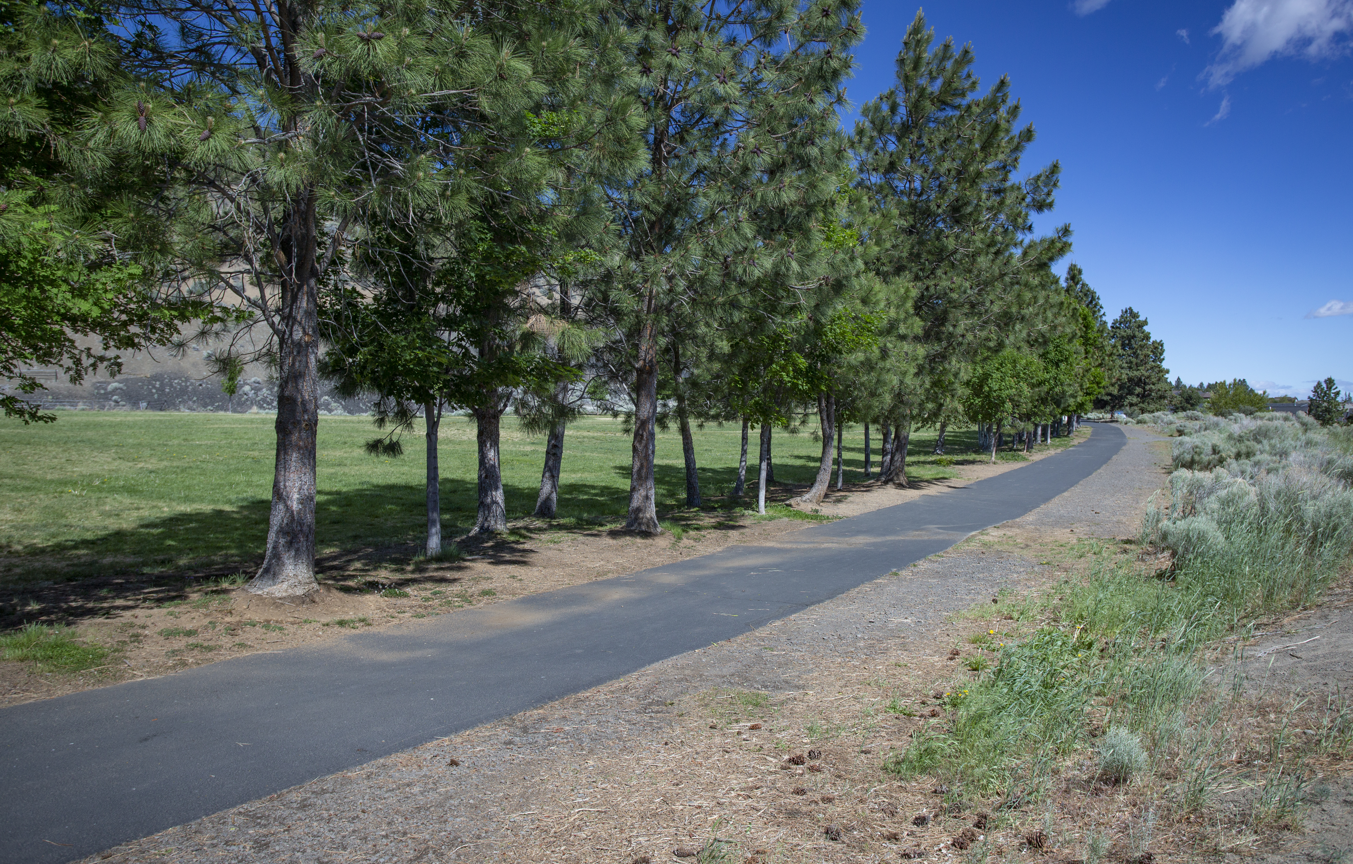 The Larkspur Trail through Pilot Butte Park