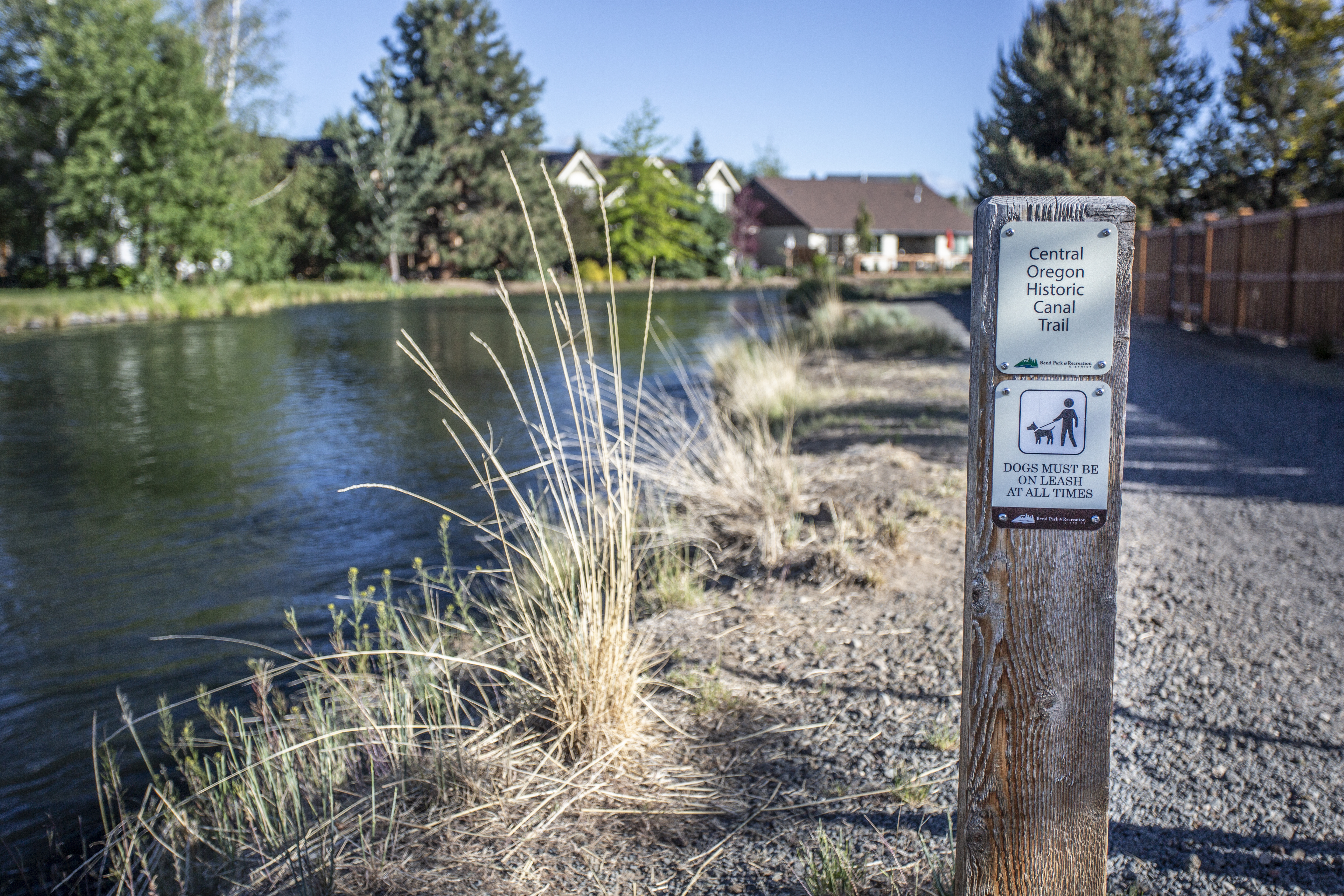 A COHCT wayfinding bollard with dog rules