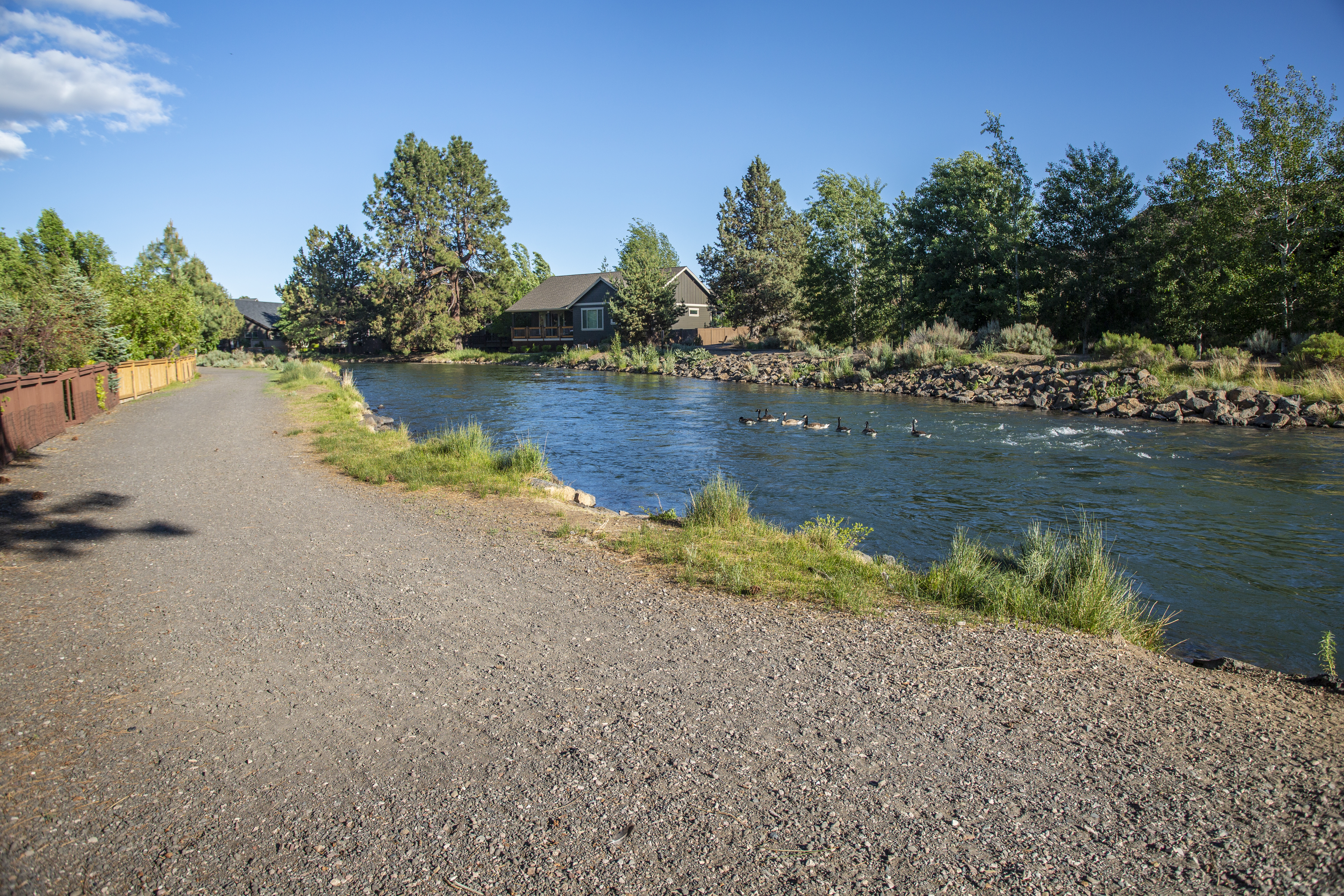 A portion of the COHCT trail running along the canal with geese