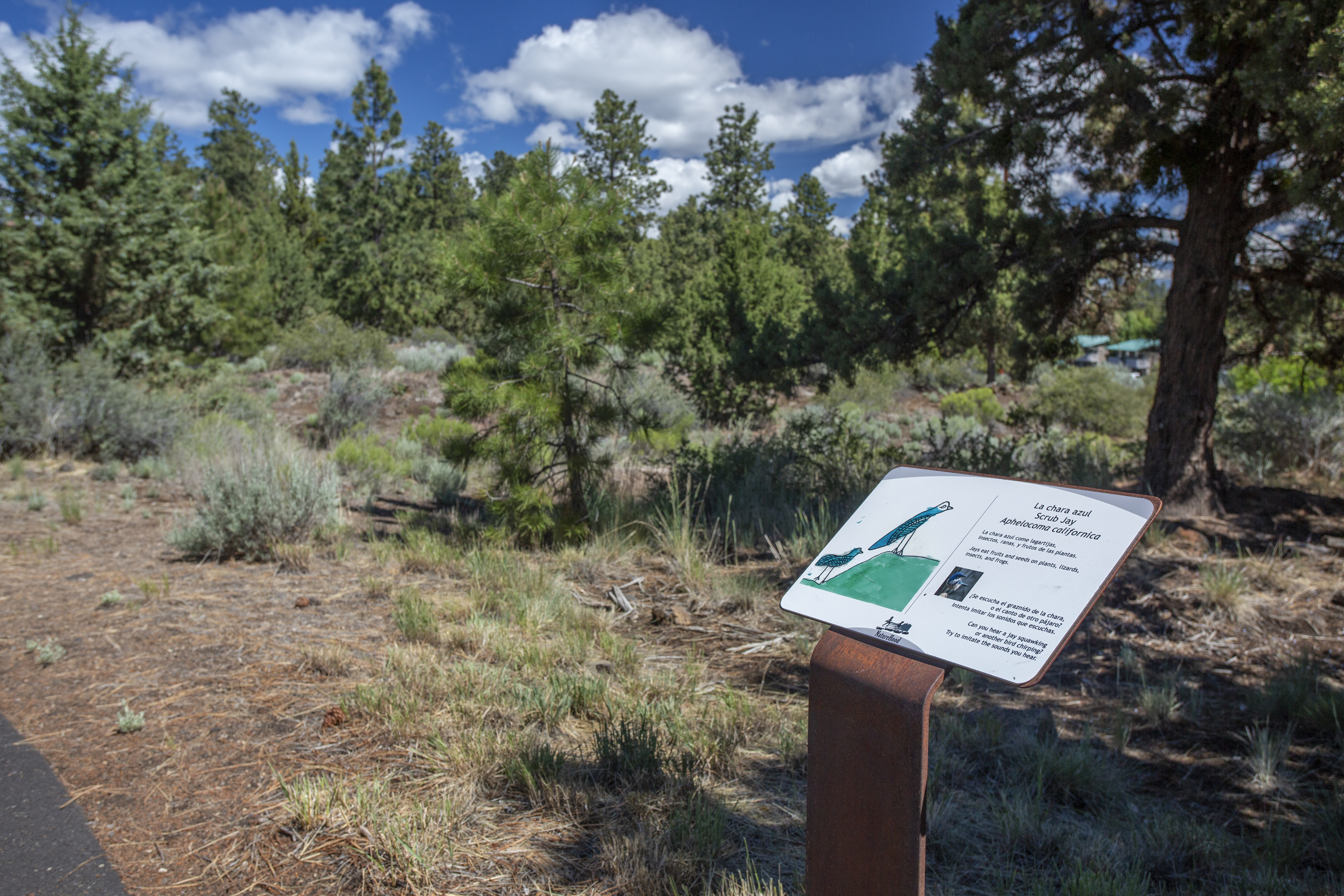 A naturehood interpretive sign