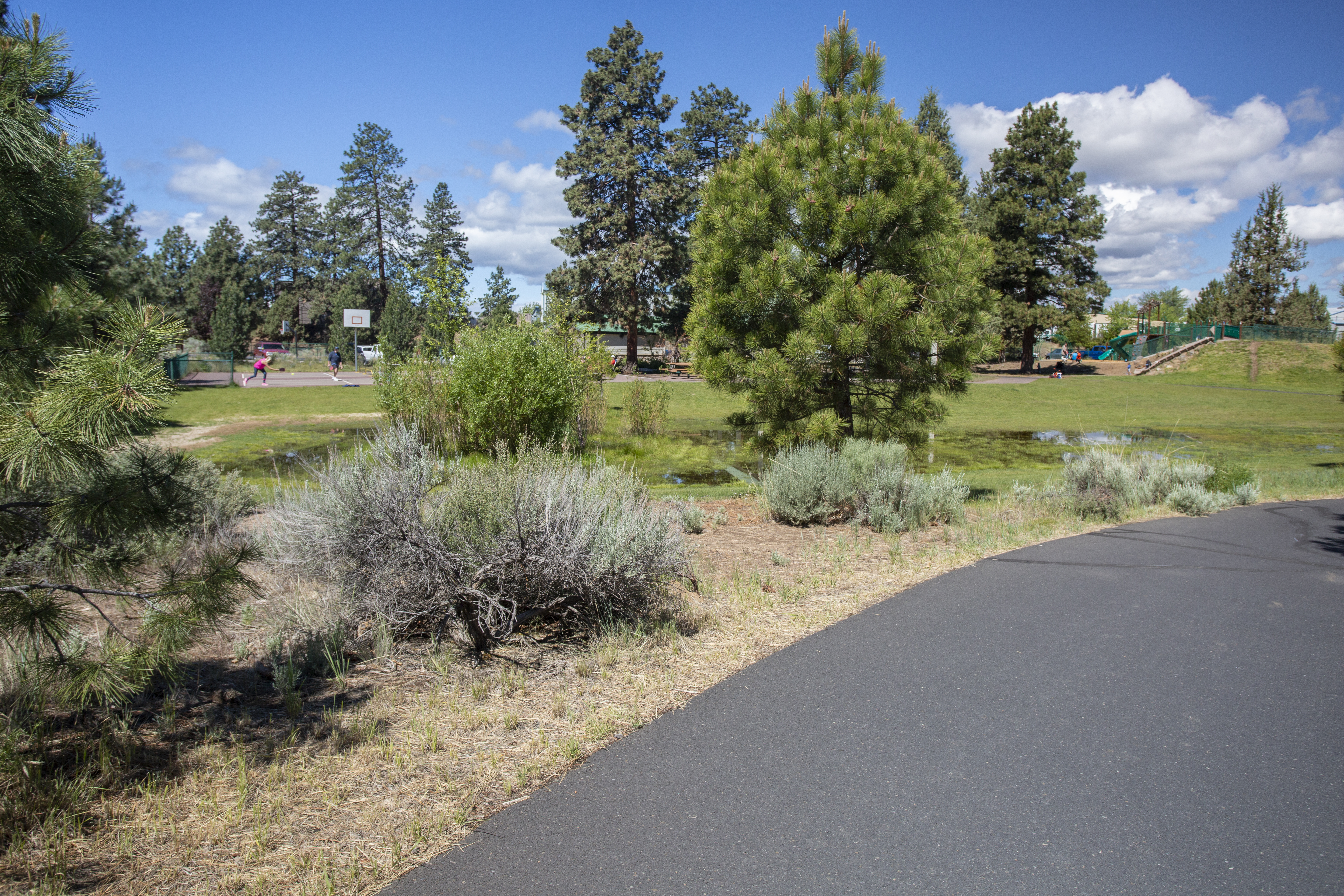 Coyner Trail going by Ponderosa Park