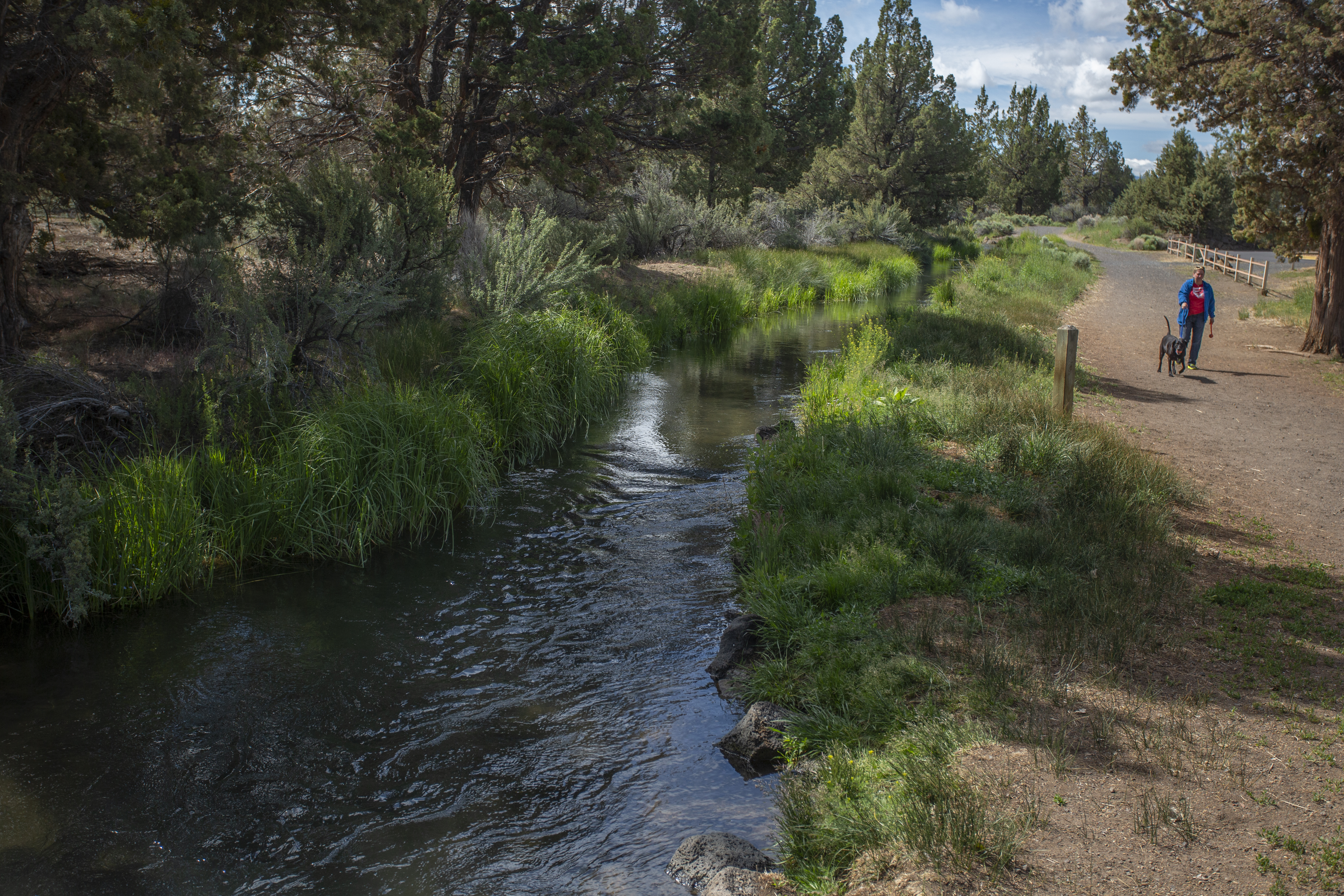 a patron walks their dog along the big sky park trail