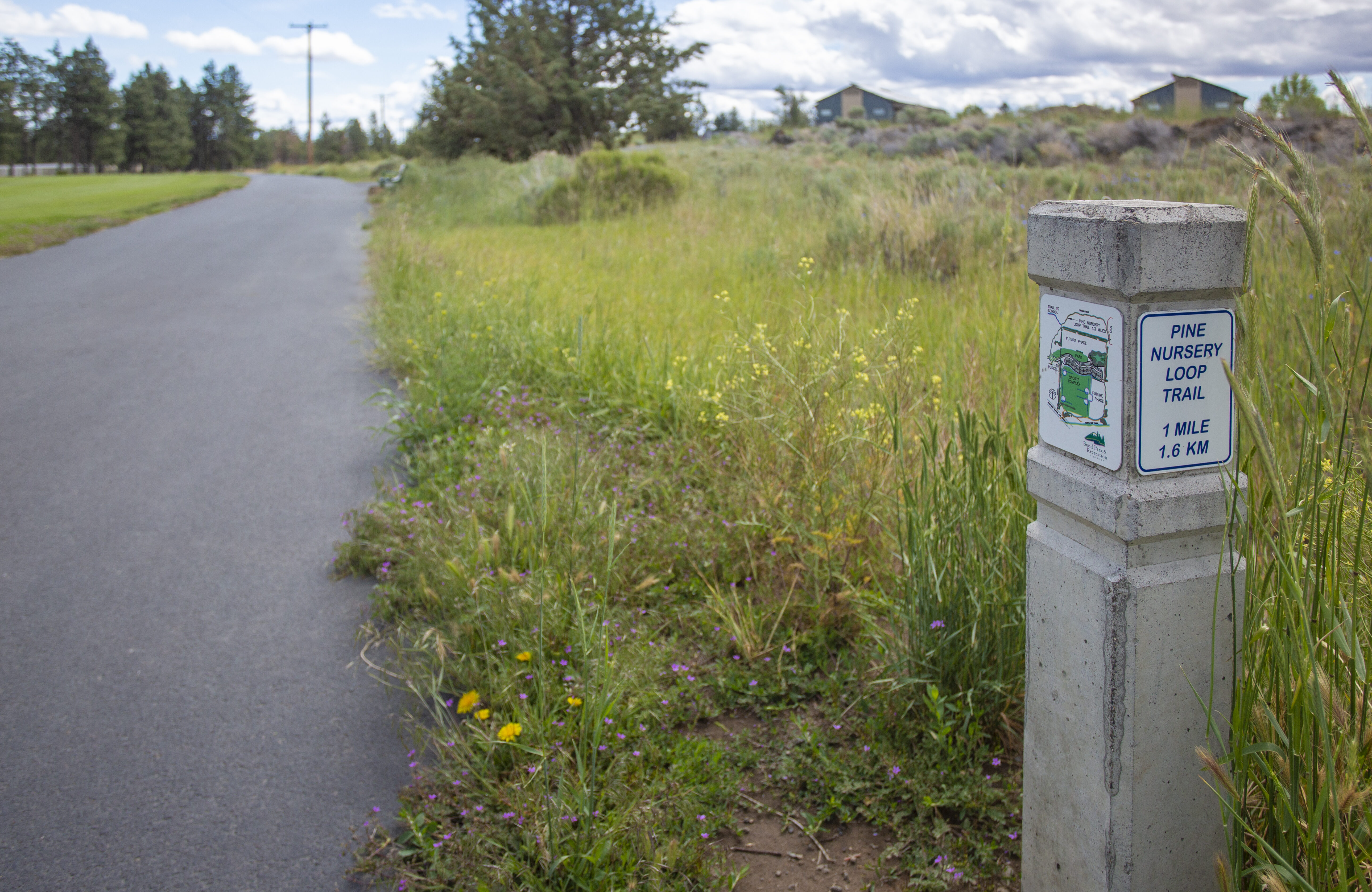1 mile trail marker at Pine Nursery Park Trail with wild flowers and grass in background.