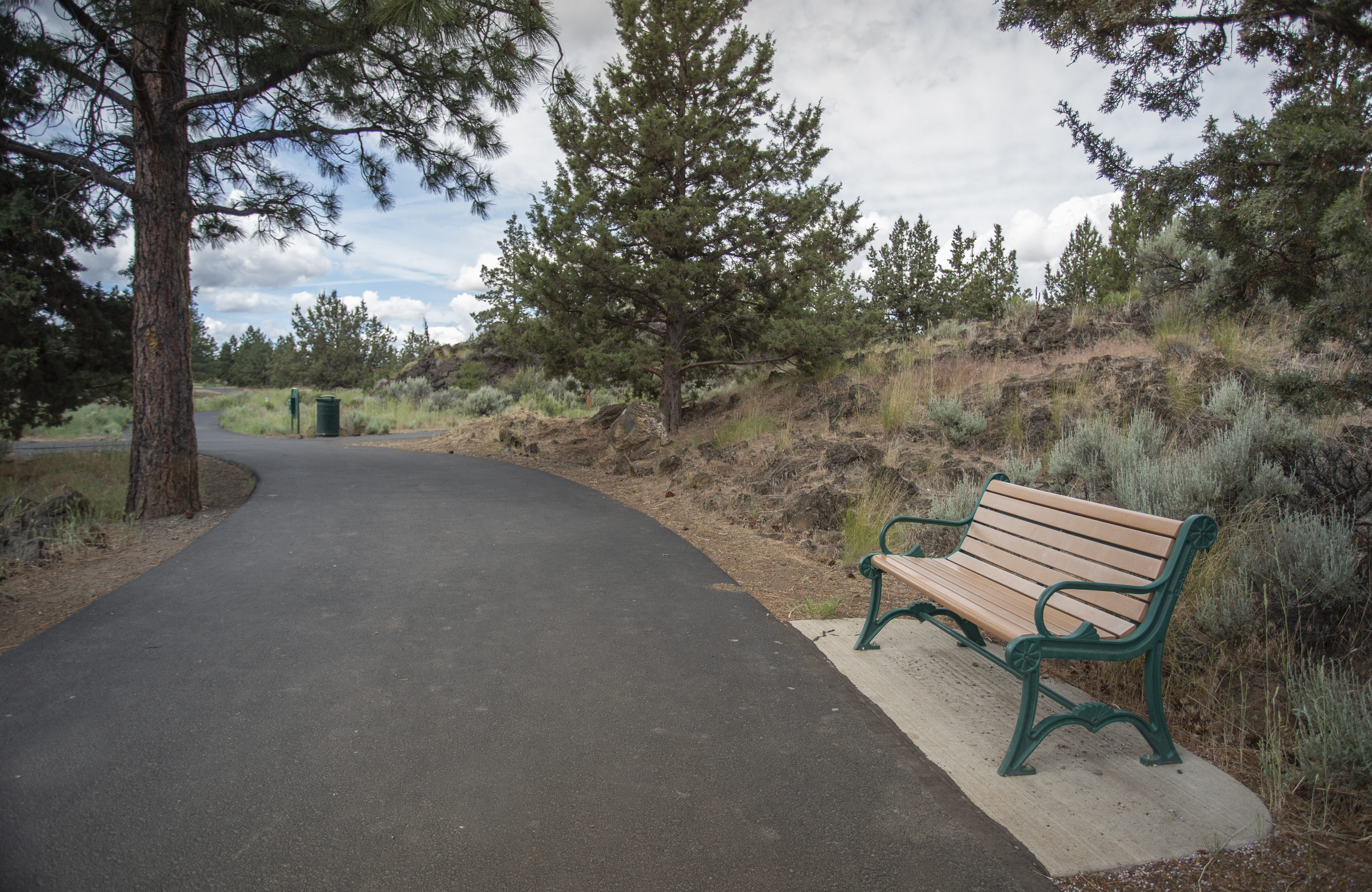 Photo of pathway and bench at Pine Nursery Park