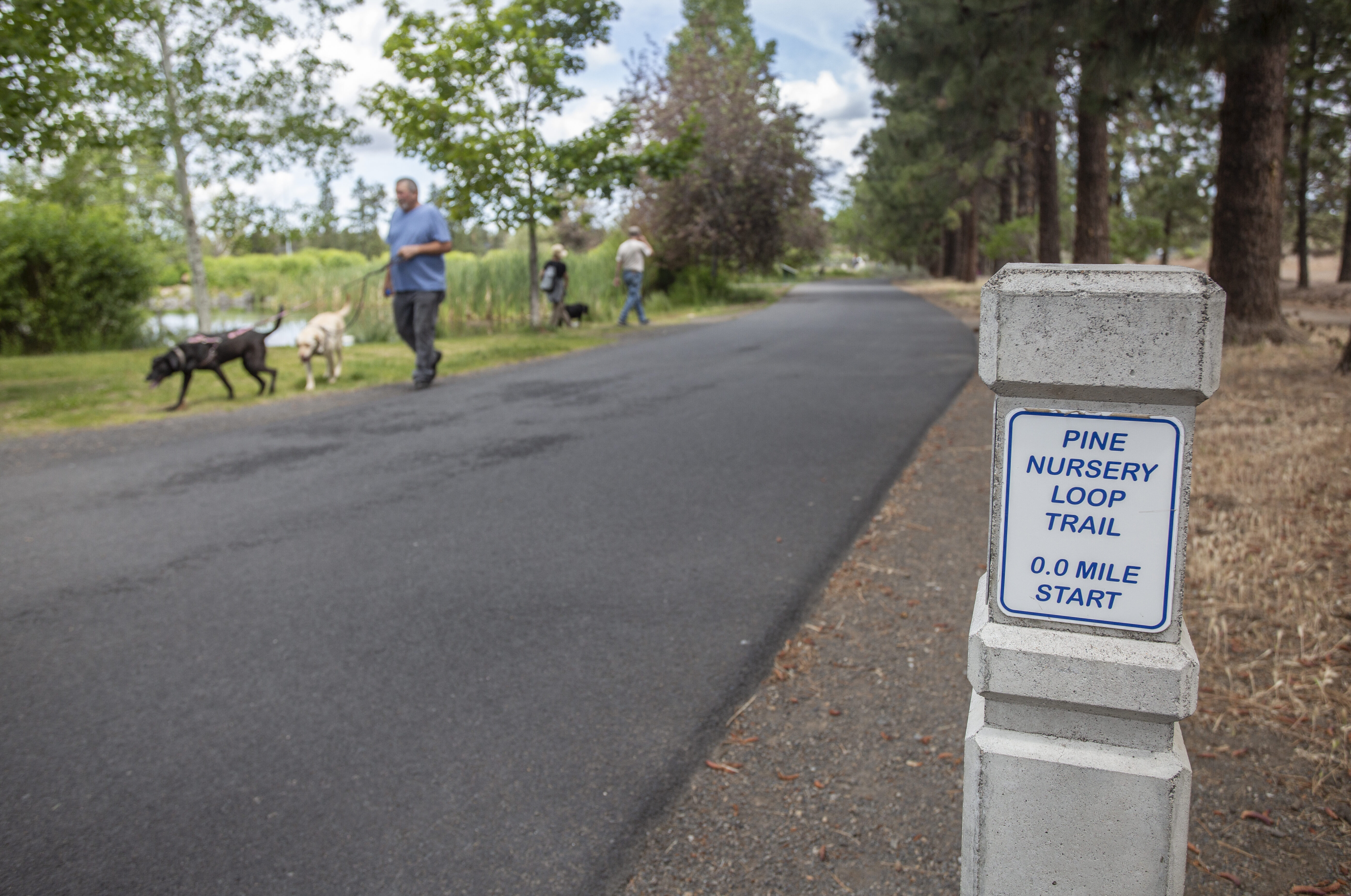 Photo of Pine Nursey Loop Trail marker with patrons walking in the background