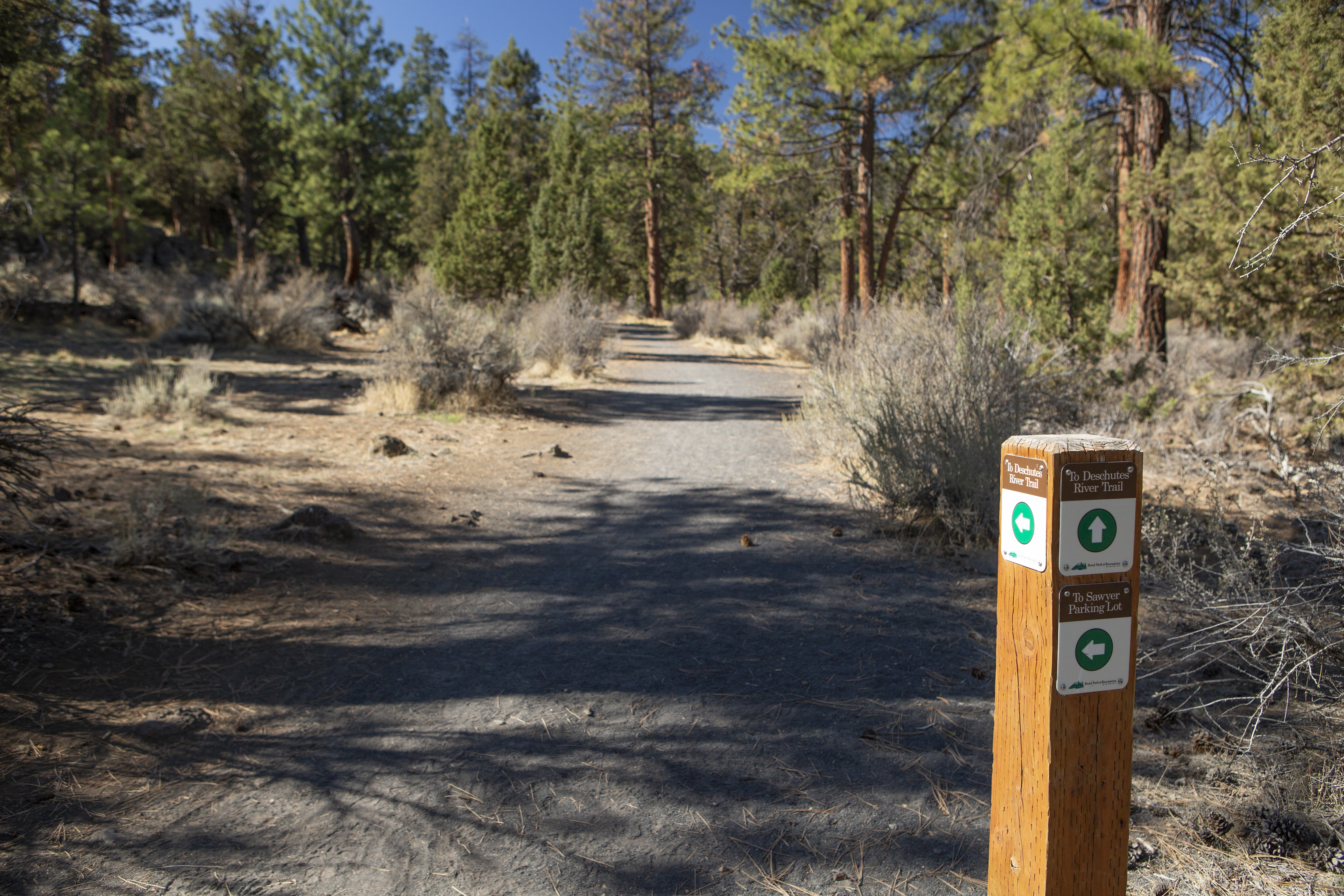 A wayfinding trail bollard in Sawyer Park