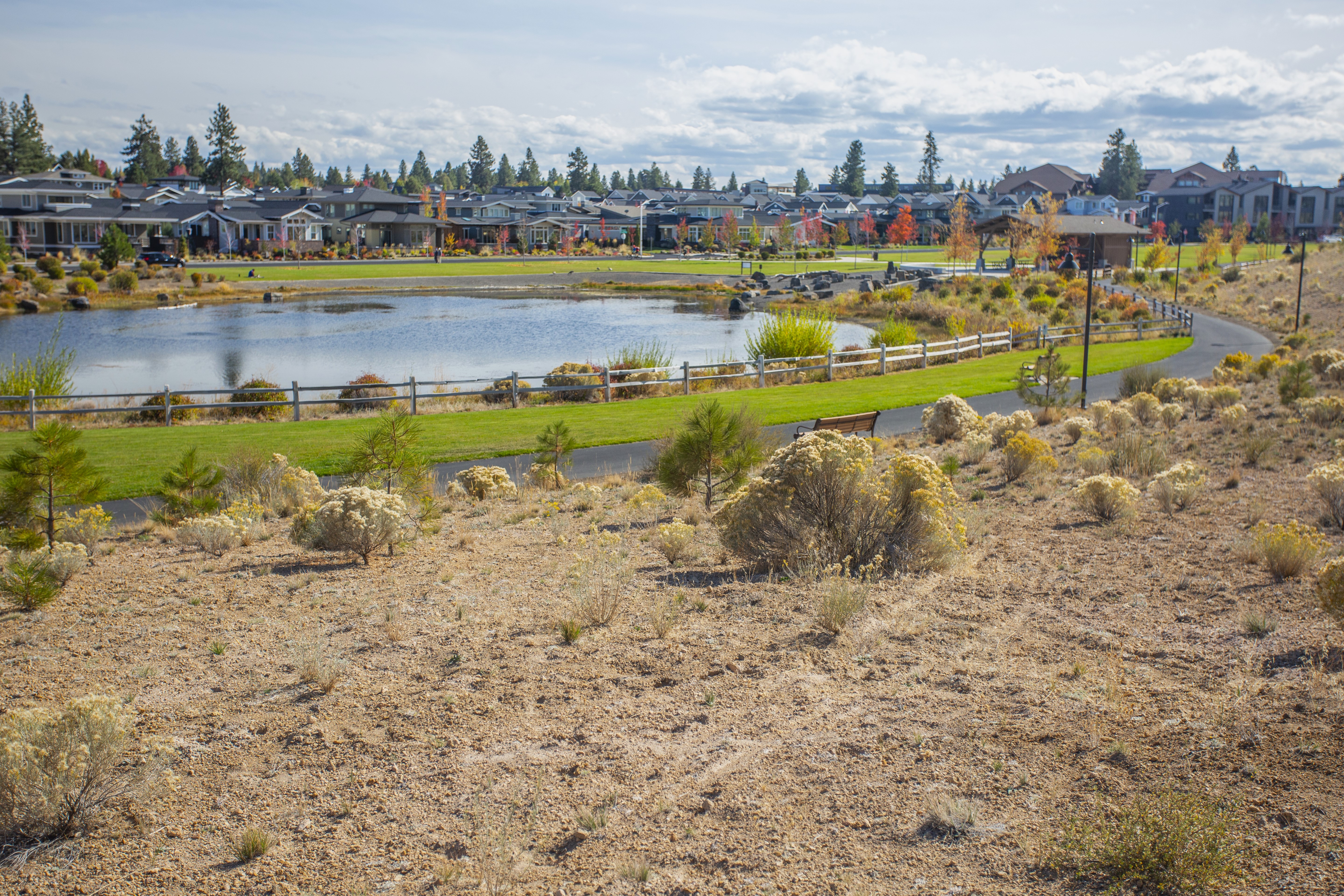 A view of the Discovery Trail through Discovery Park