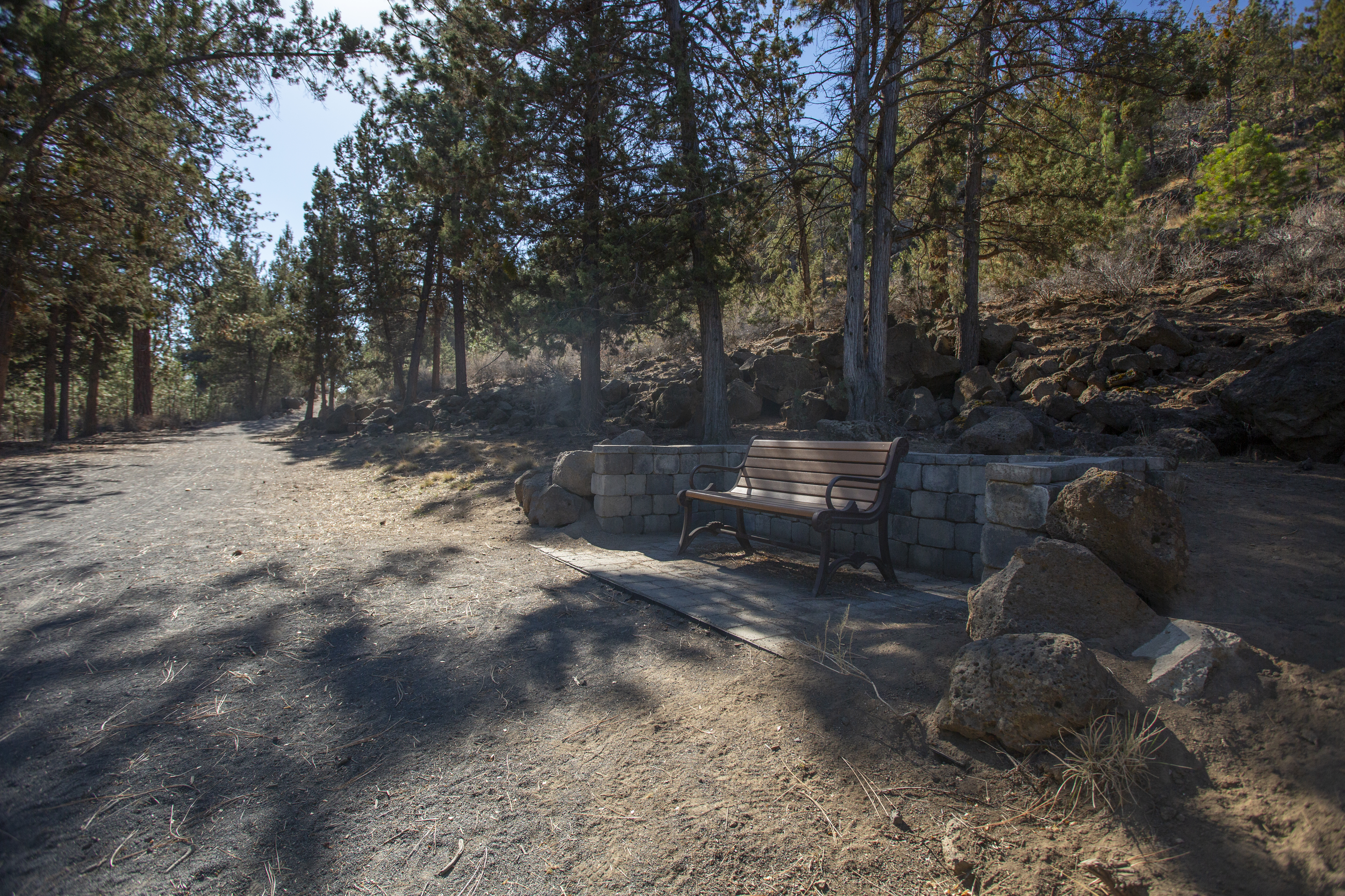 A trail and bench in Sawyer Park