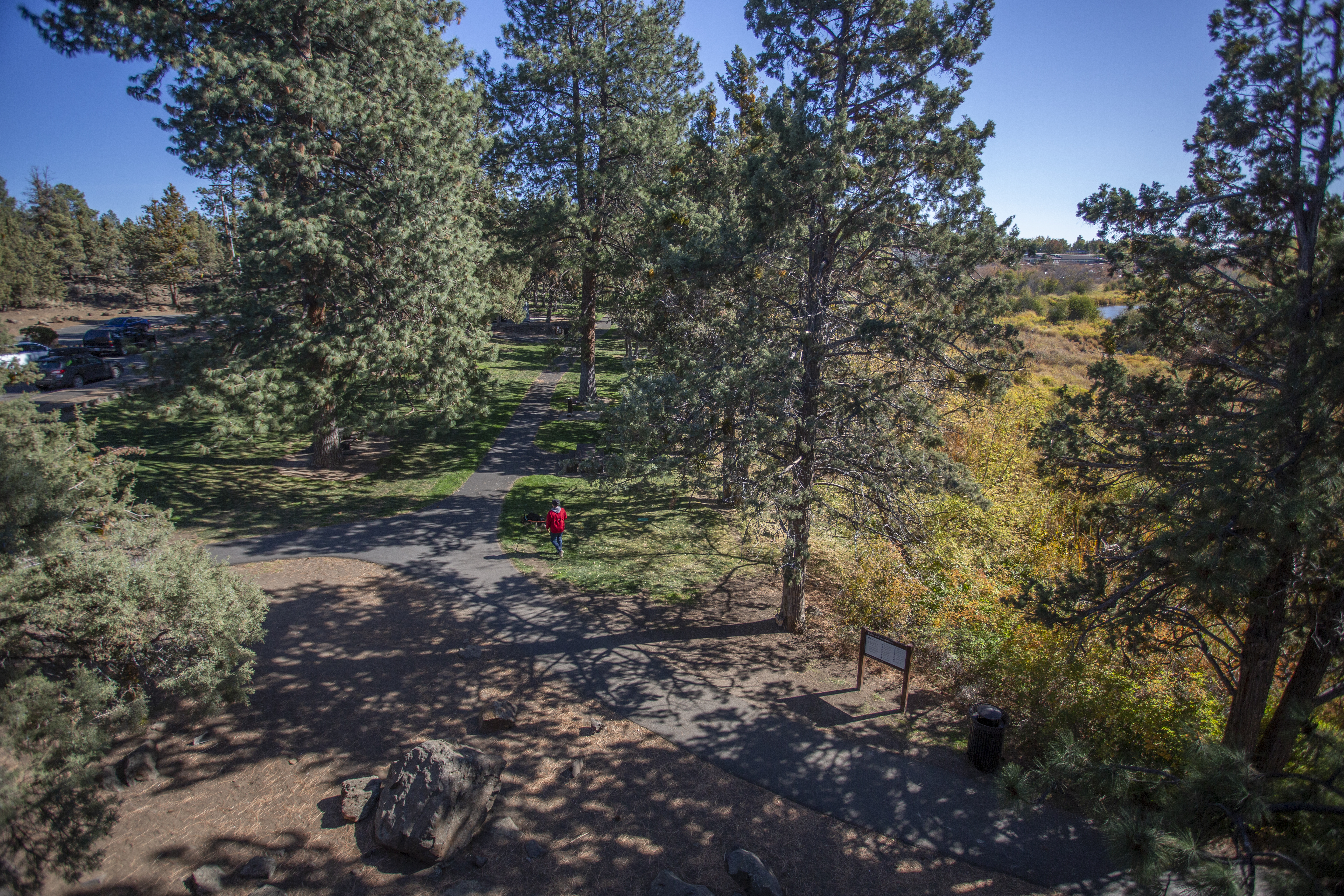 A view of the Sawyer Park trail in the grassy area