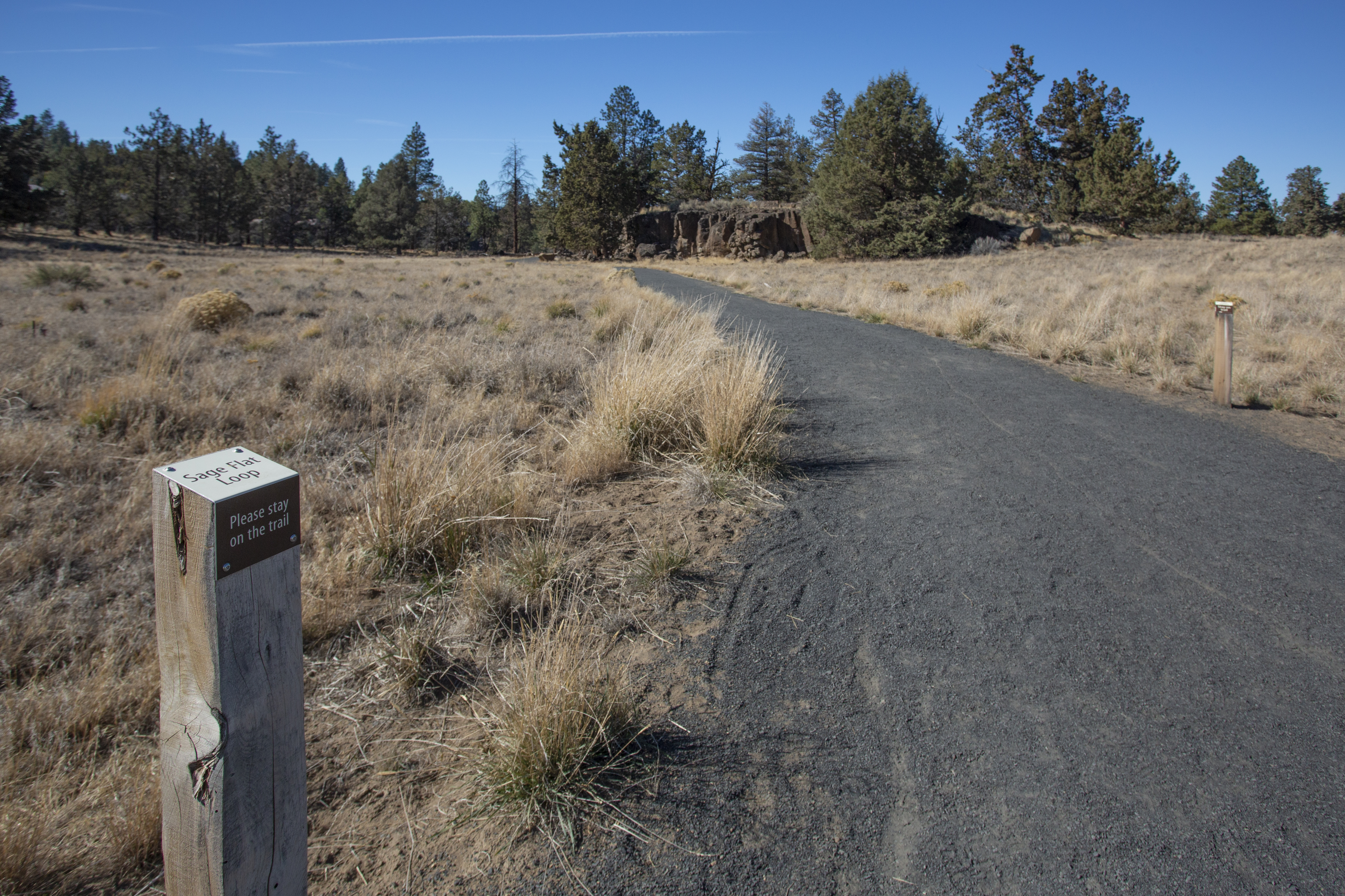 View of the trail and nature in Riley Ranch