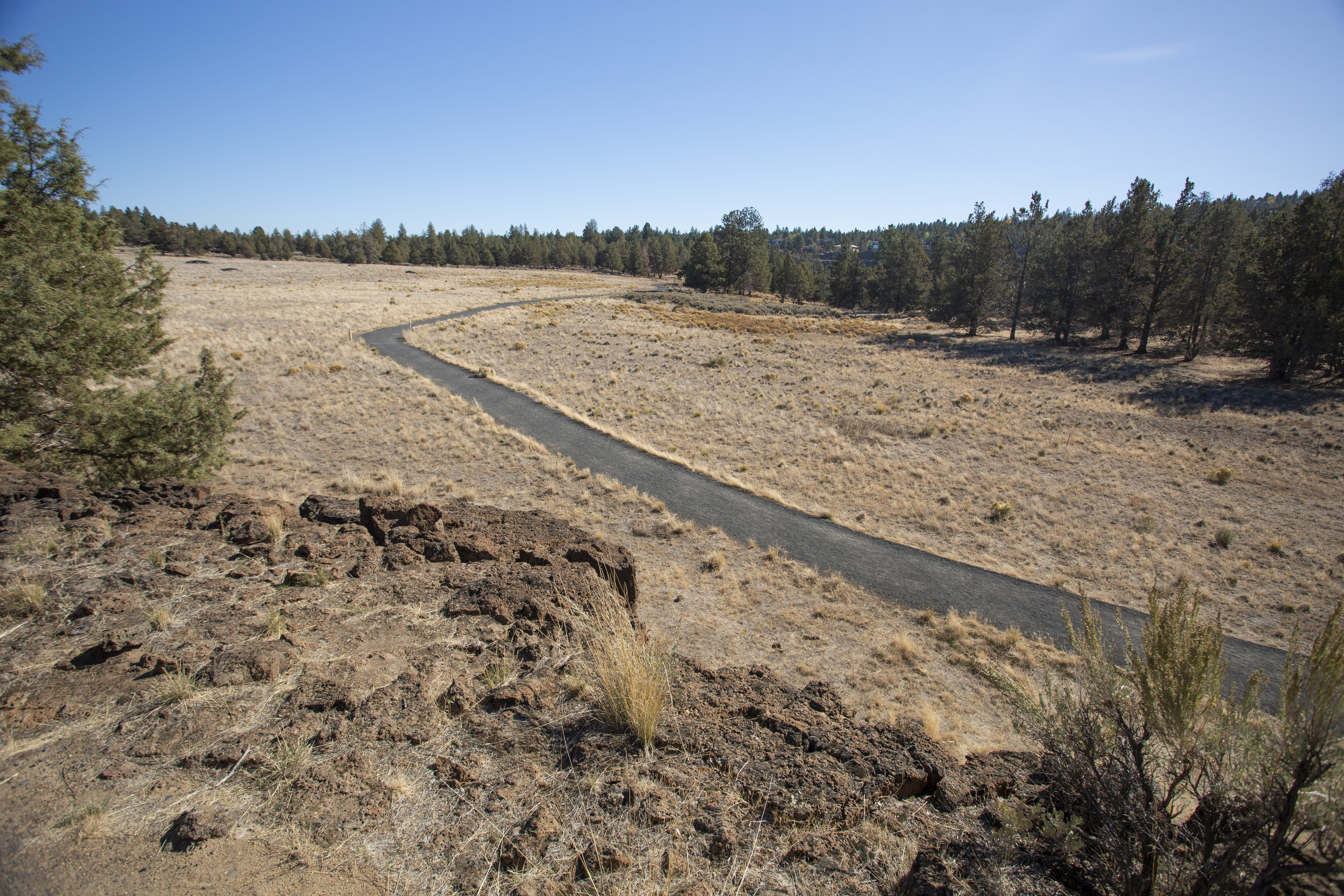 View of the trail and nature in Riley Ranch