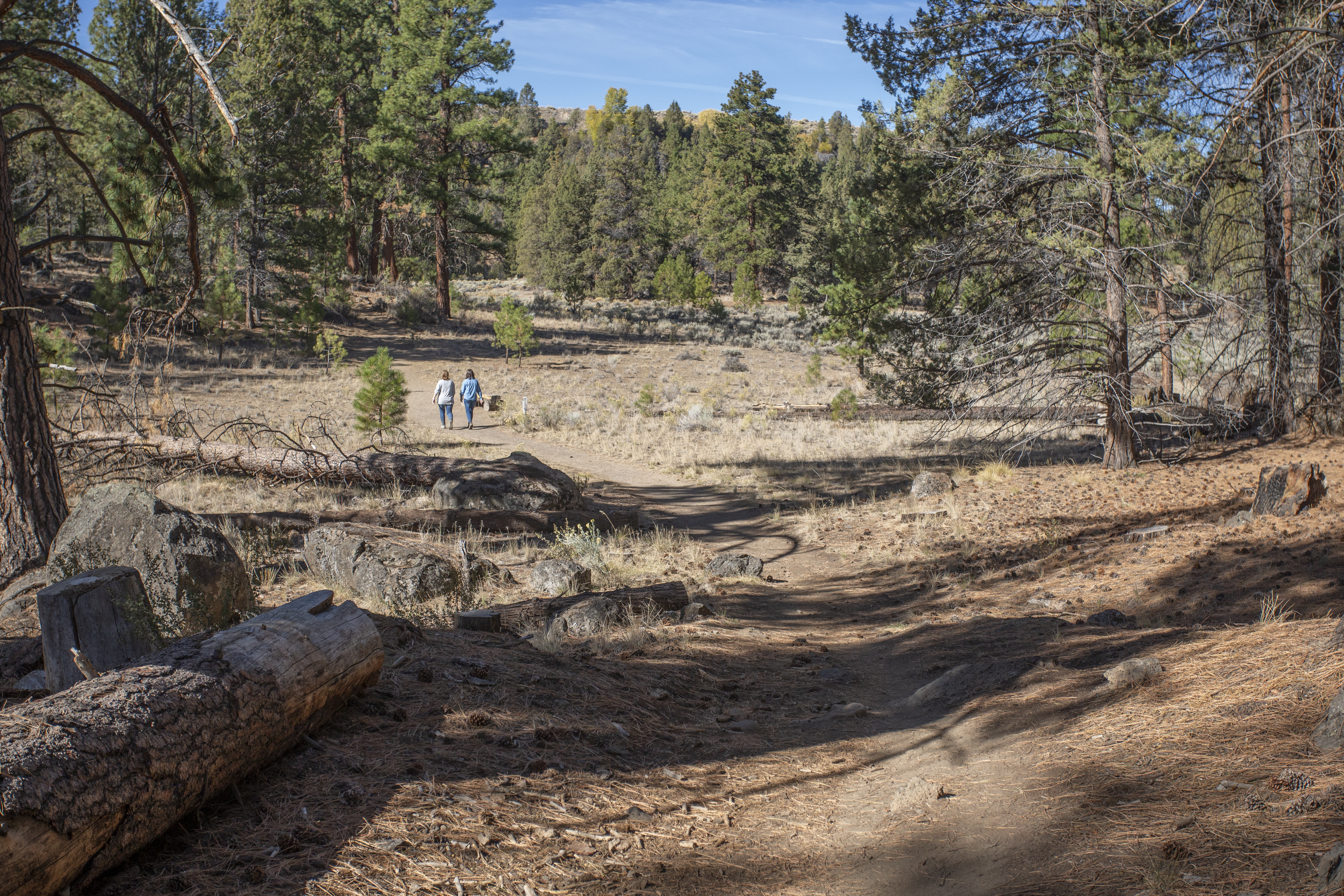 View of people on the trail in Riley Ranch