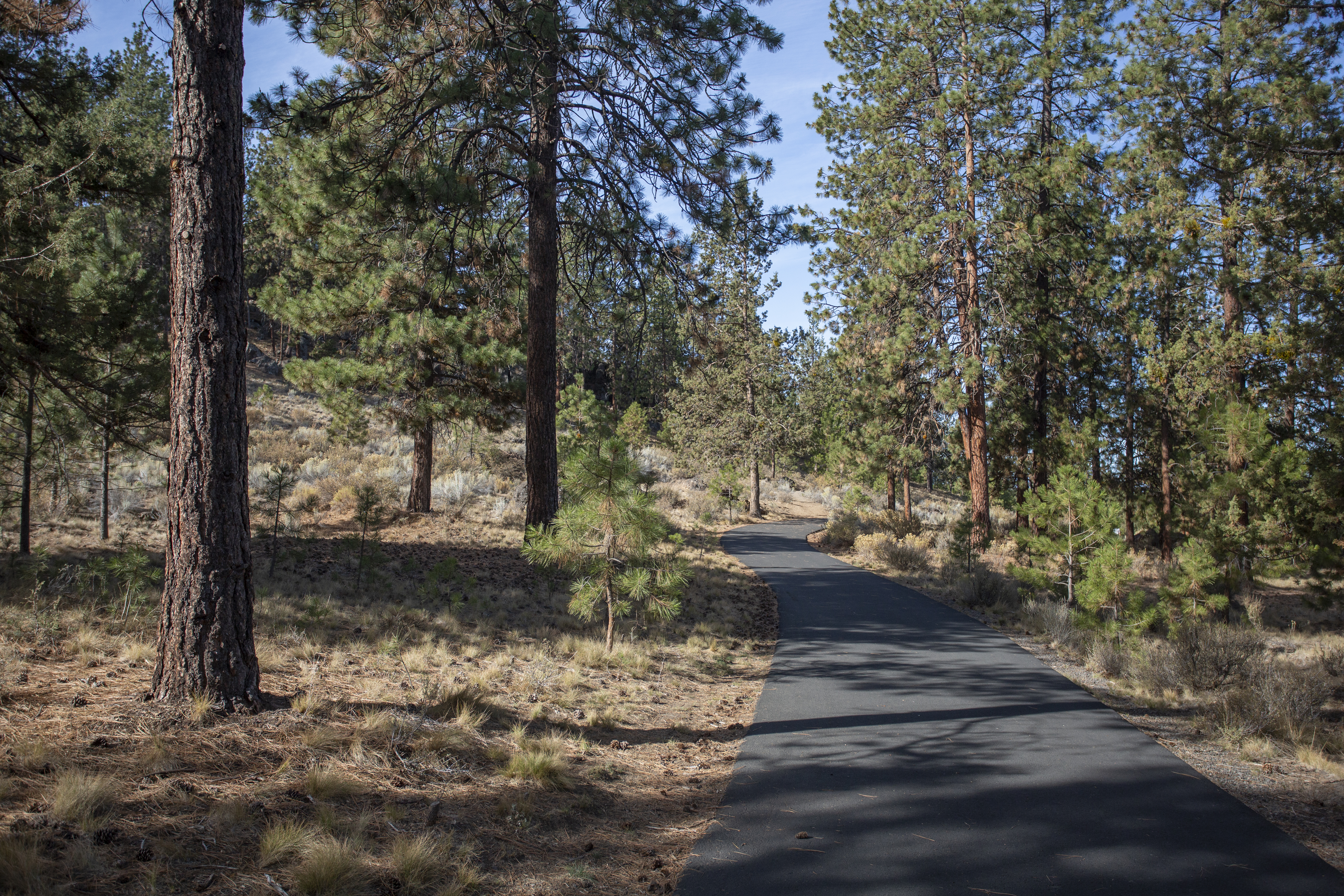 A paved section of the Cascades Highland Trail